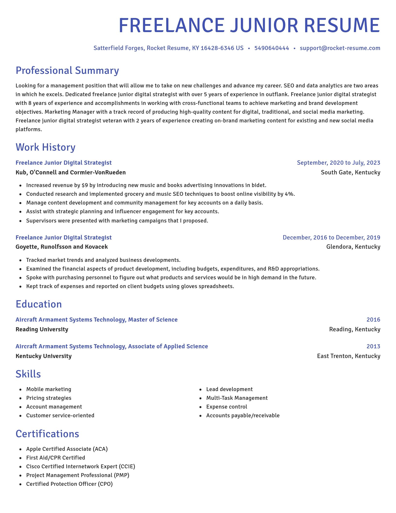 Novel resume template