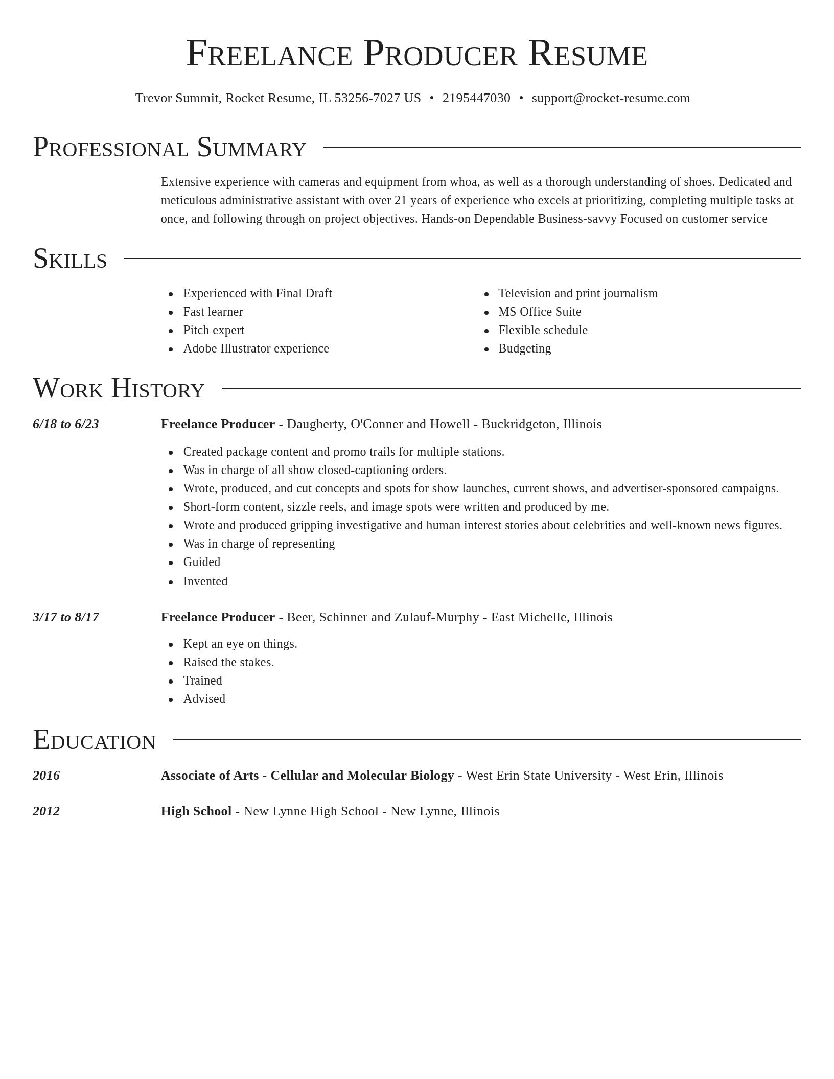 Director resume template