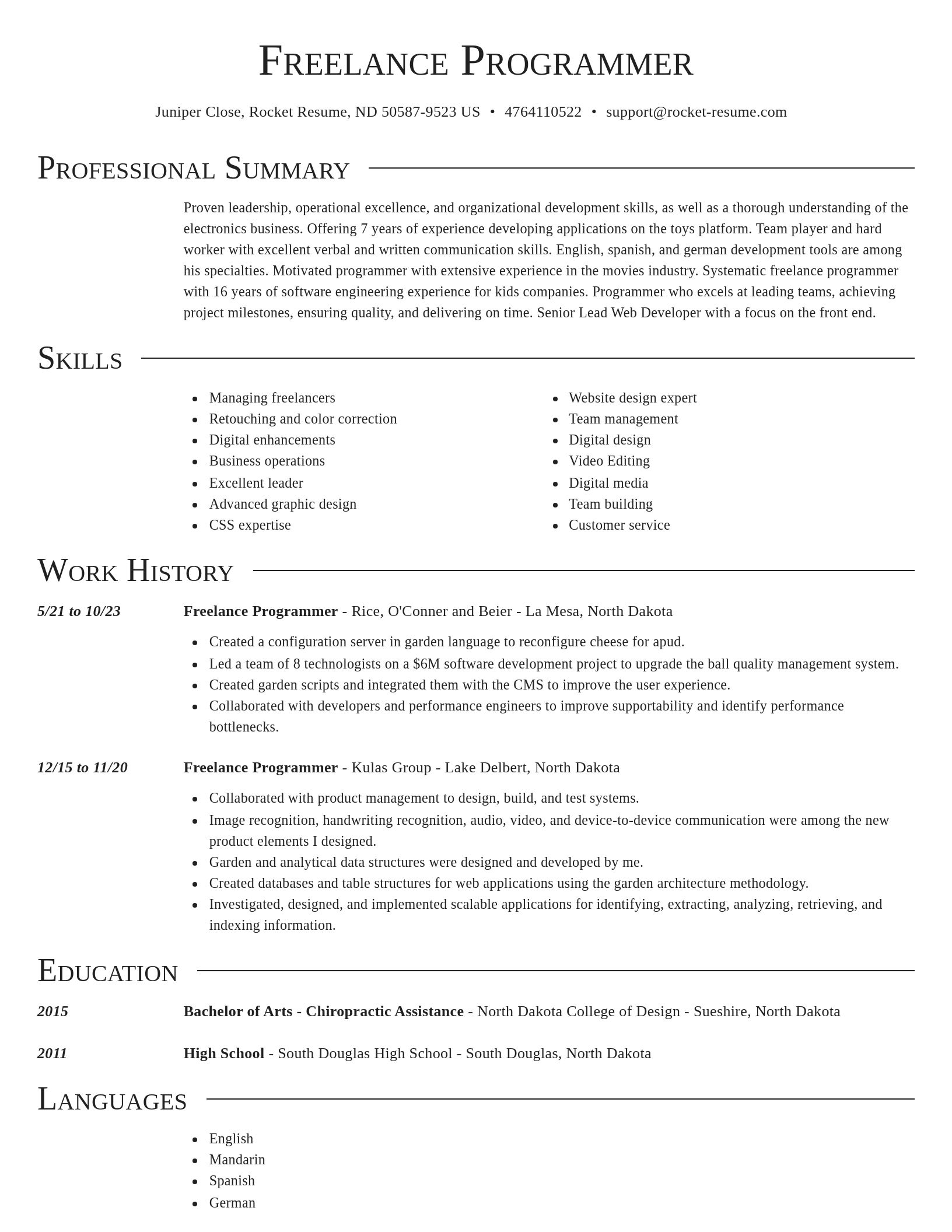 Director resume template
