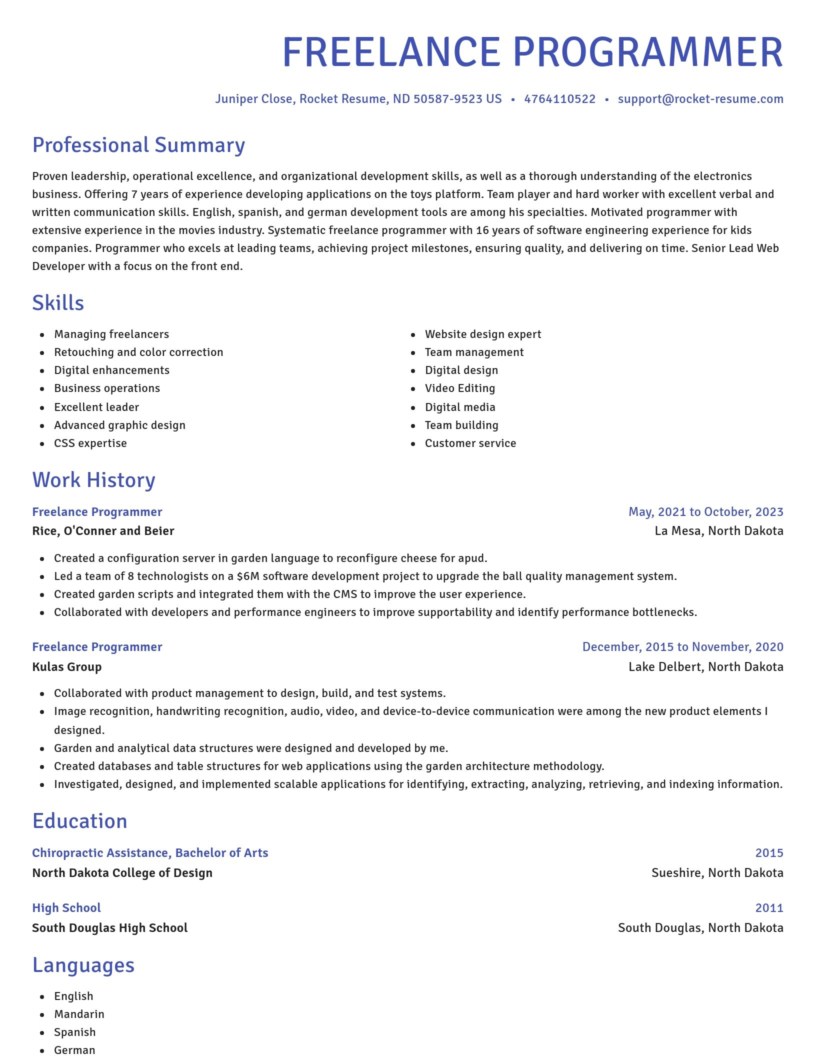 Novel resume template