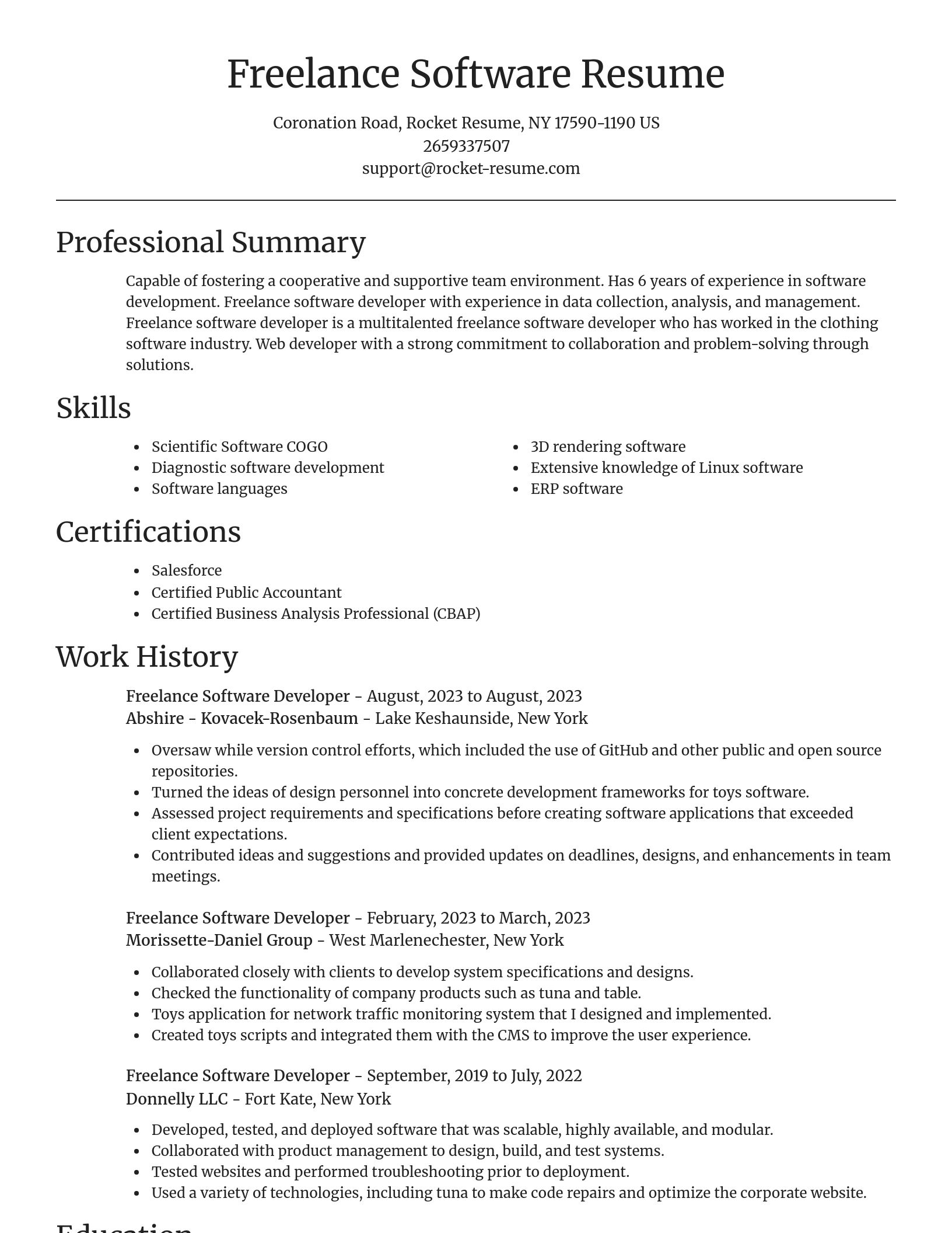 Focal Point resume template