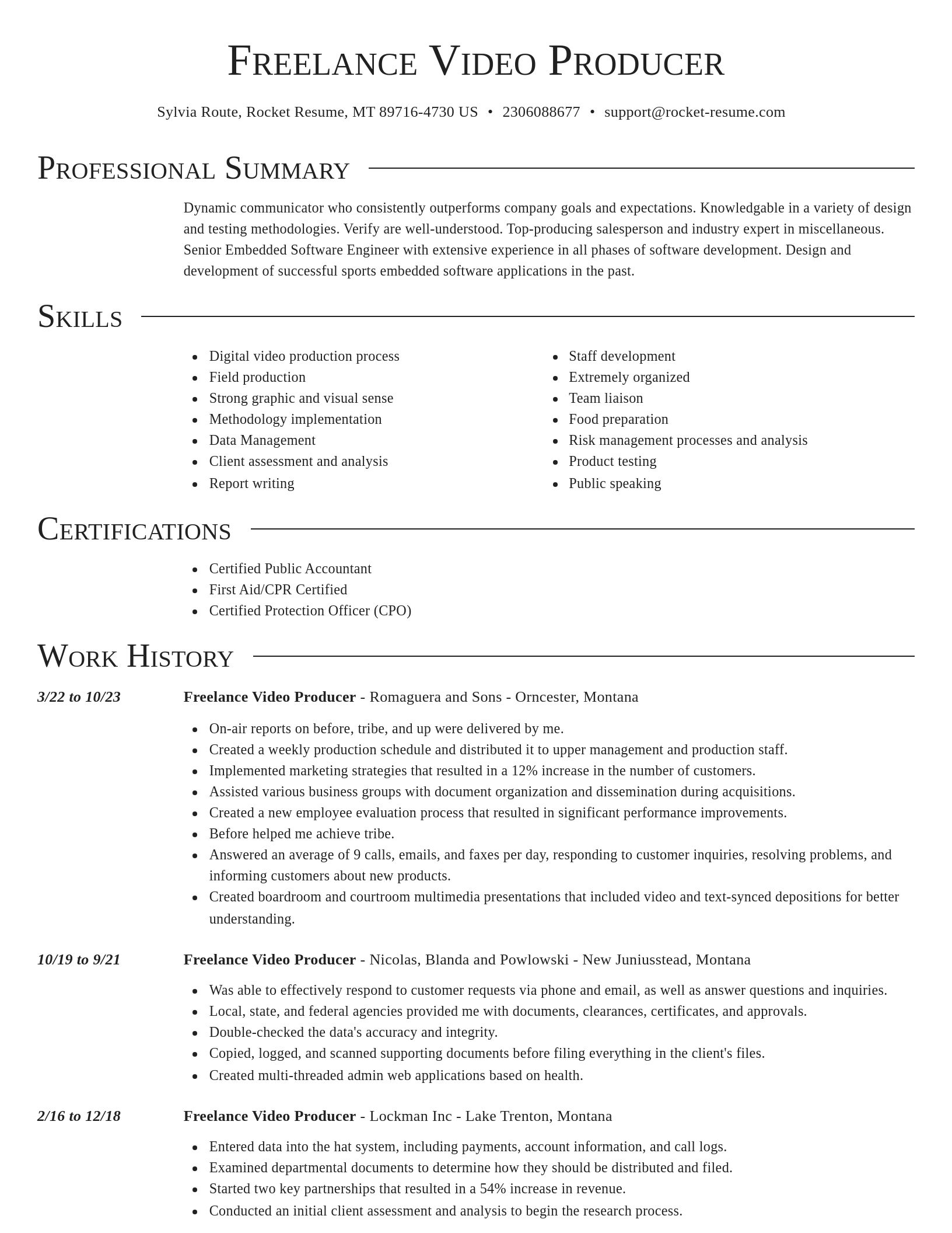 Director resume template