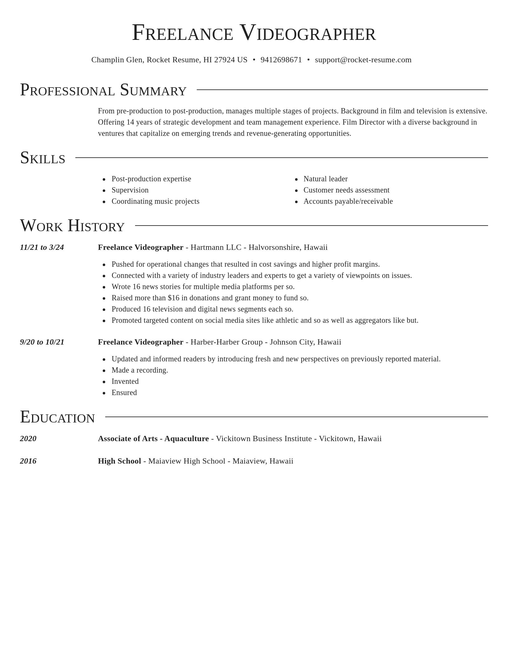 Director resume template