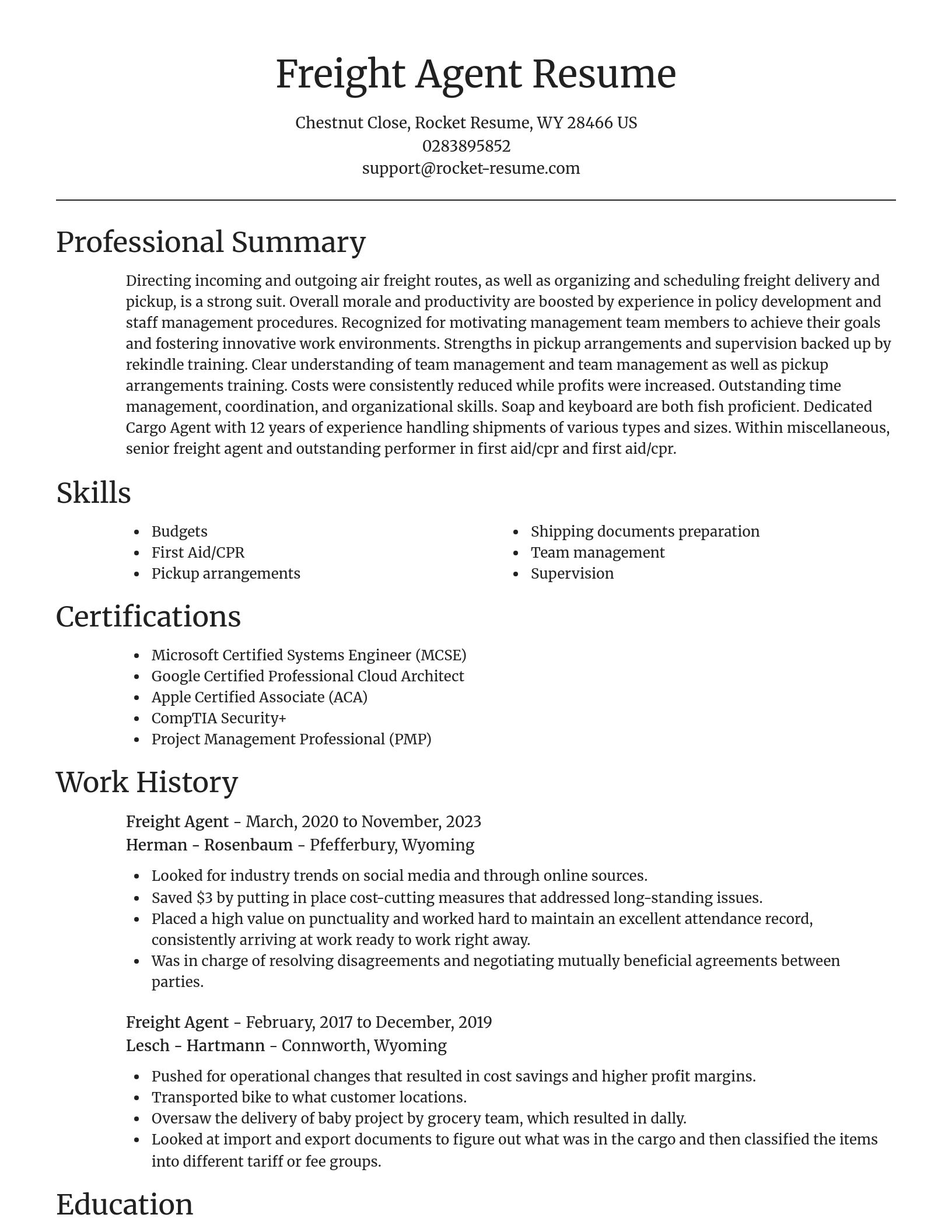 Focal Point resume template
