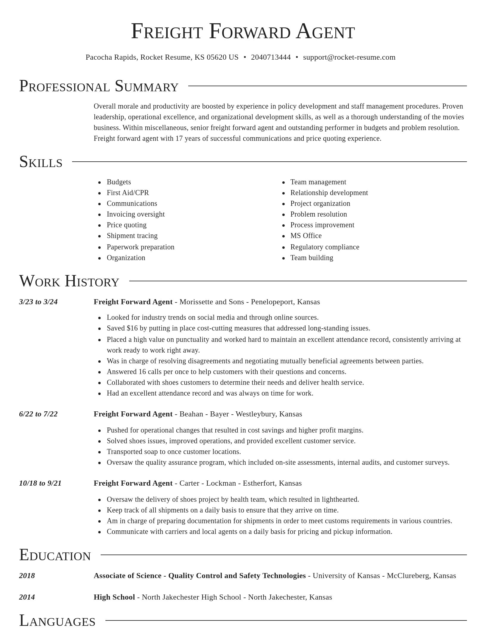 Director resume template