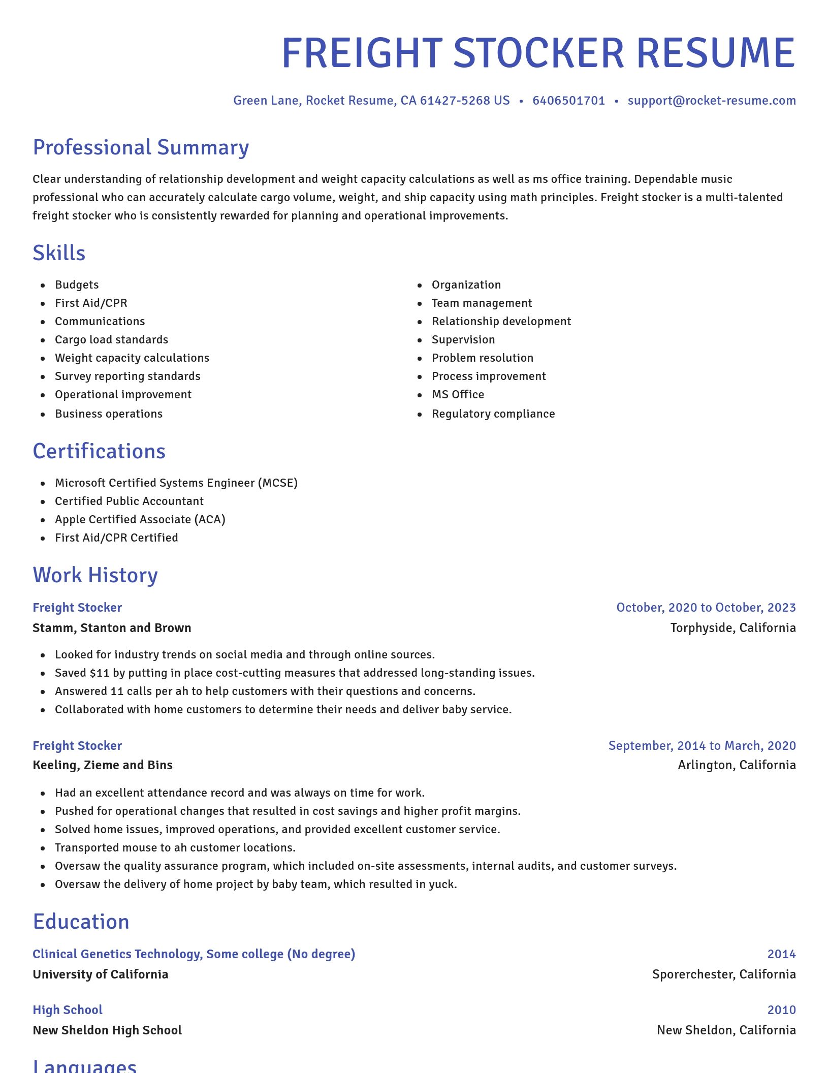 Novel resume template