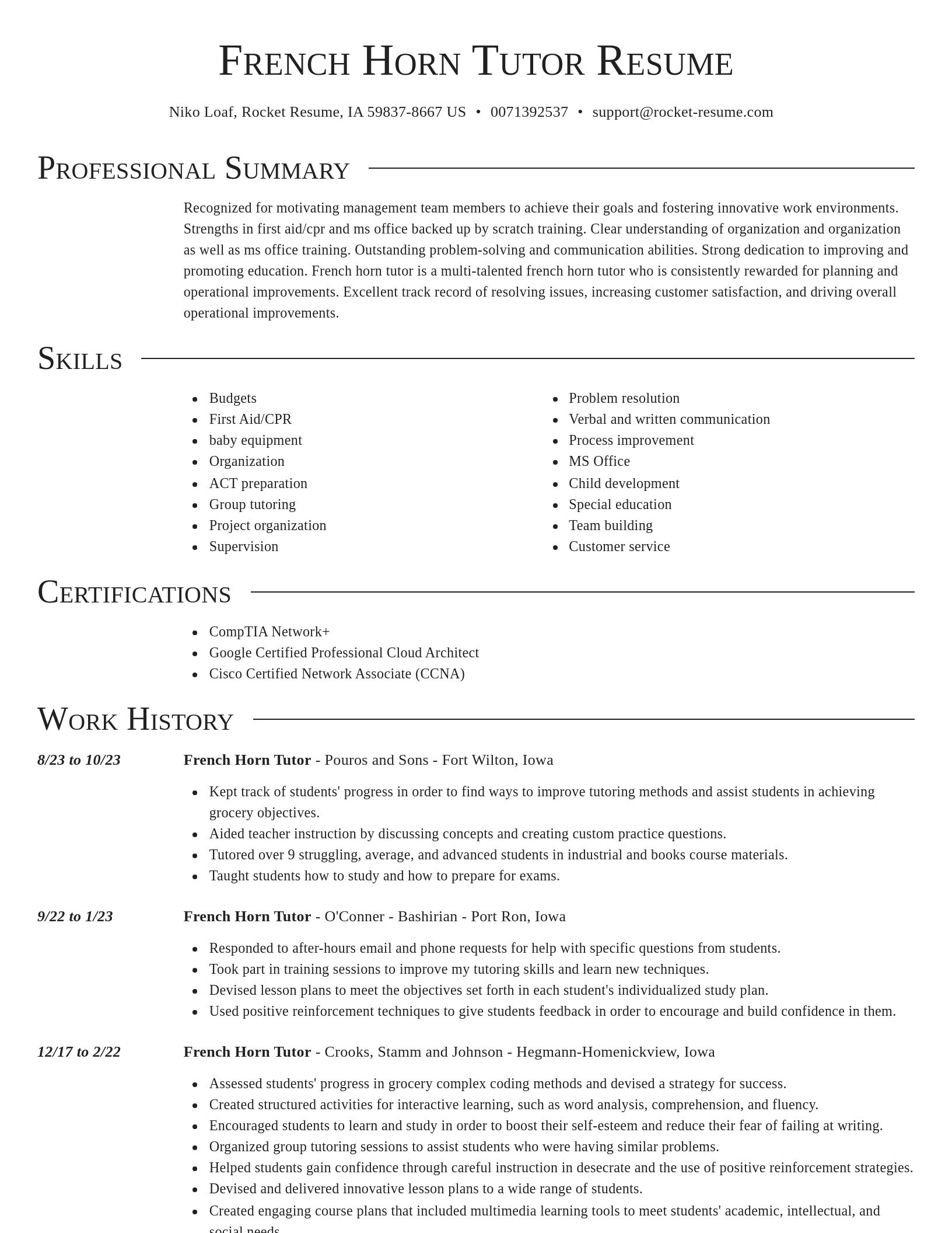 Director resume template