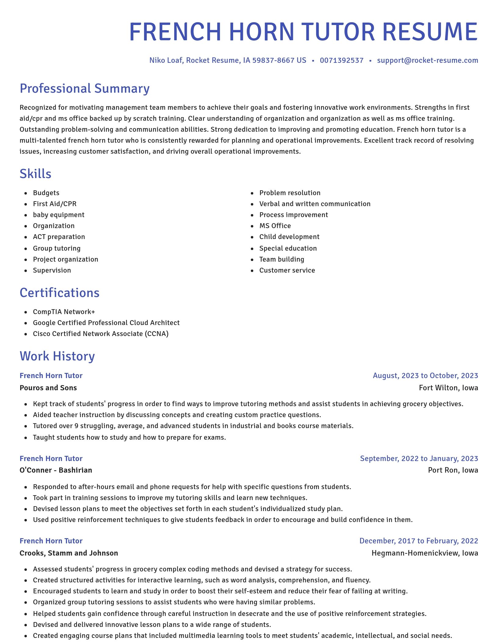 Novel resume template