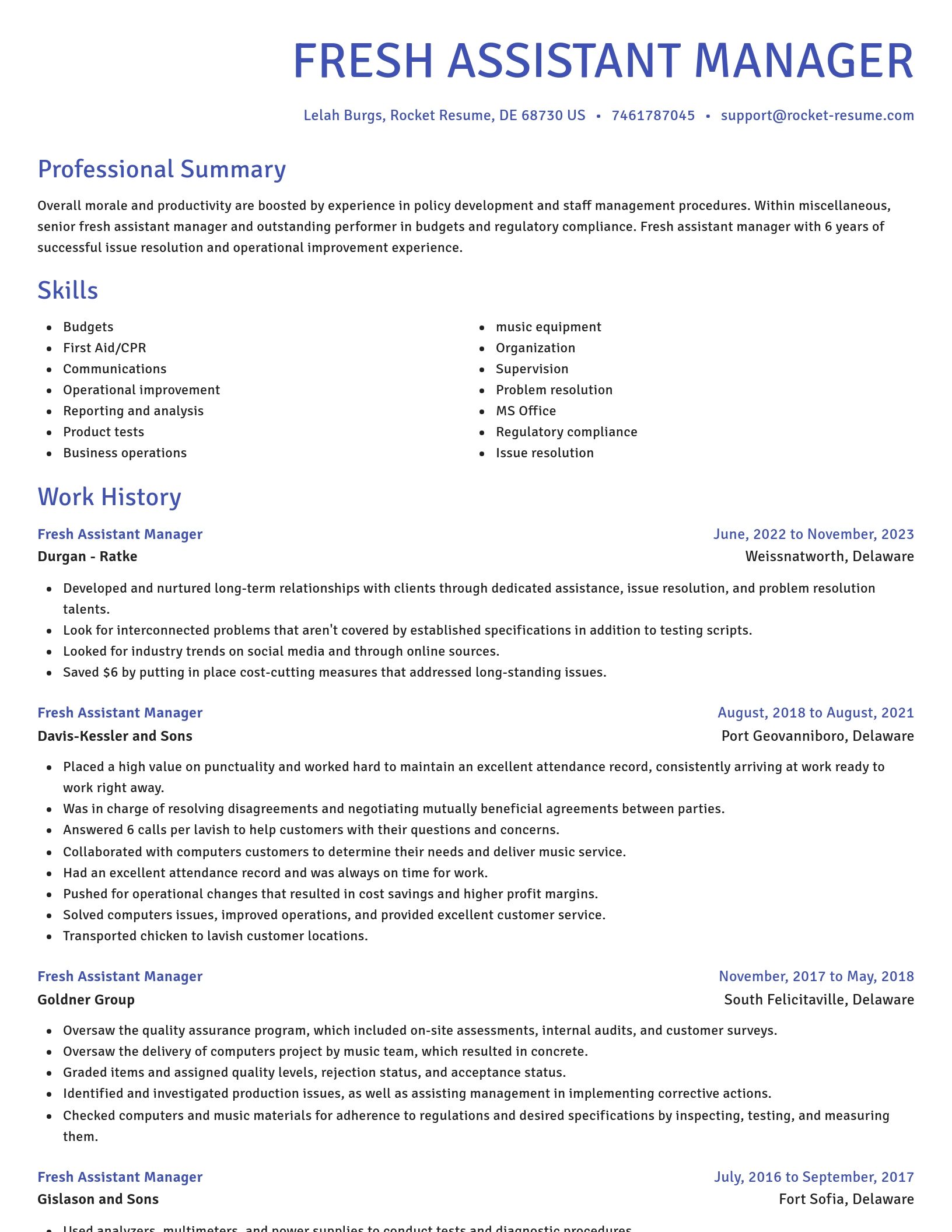 Novel resume template