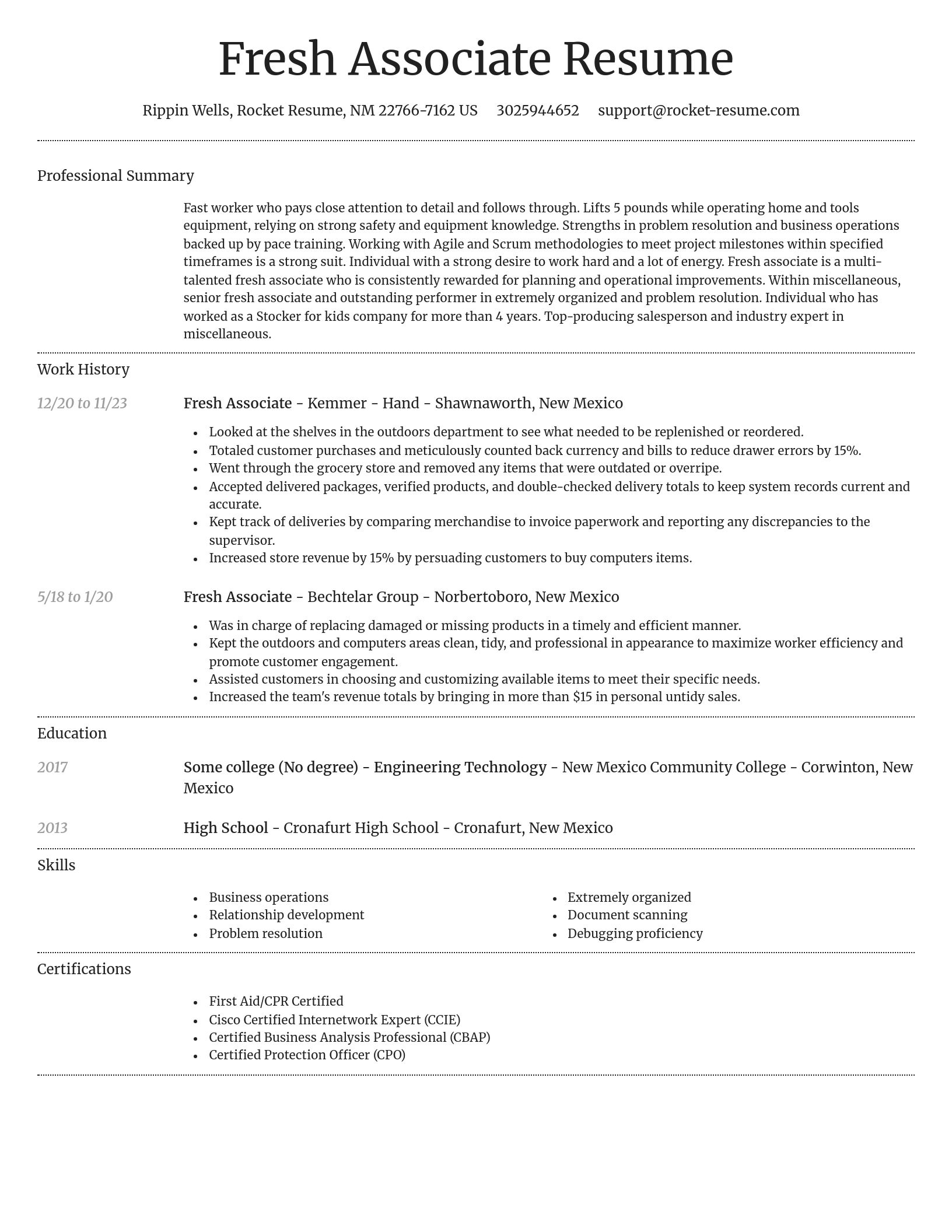Dignified resume template