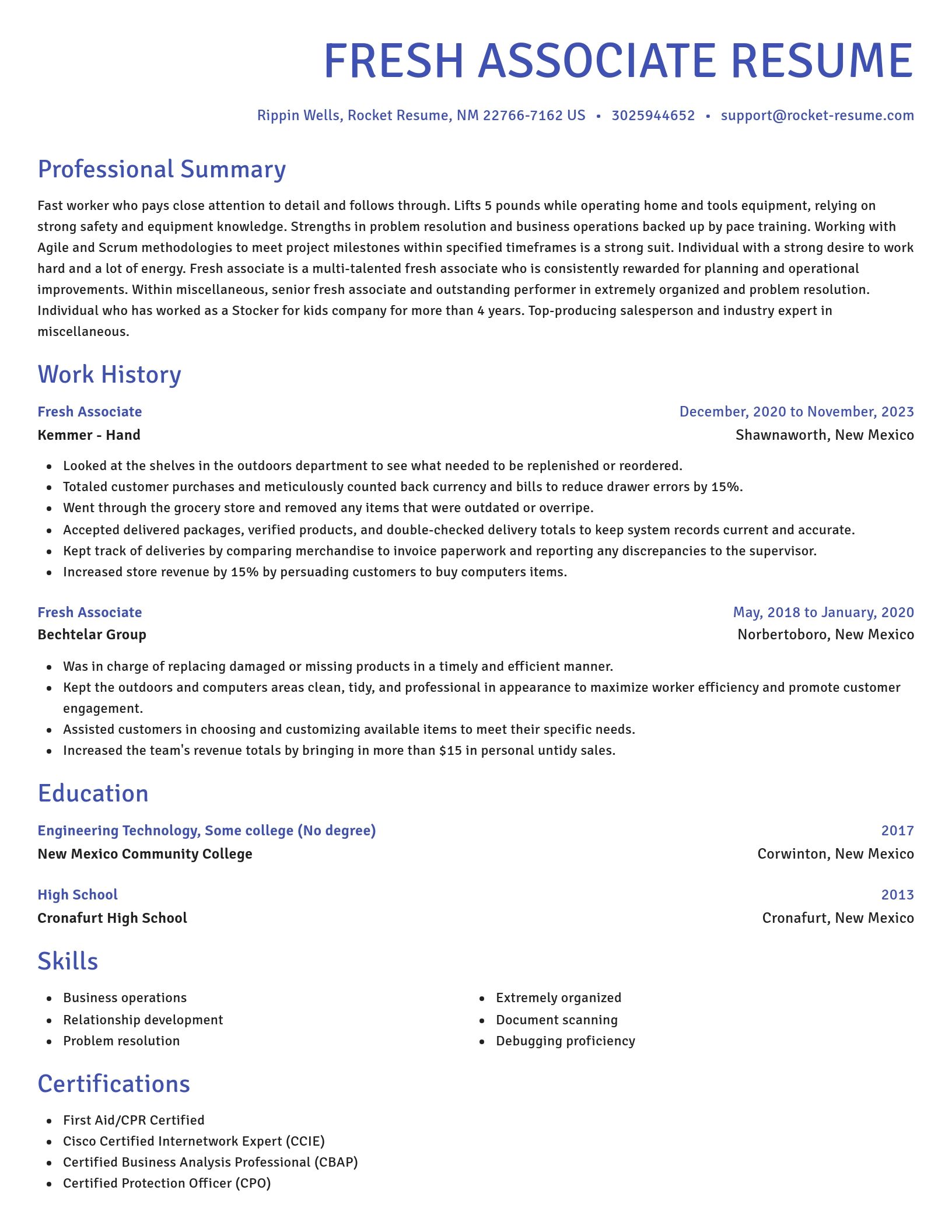 Novel resume template