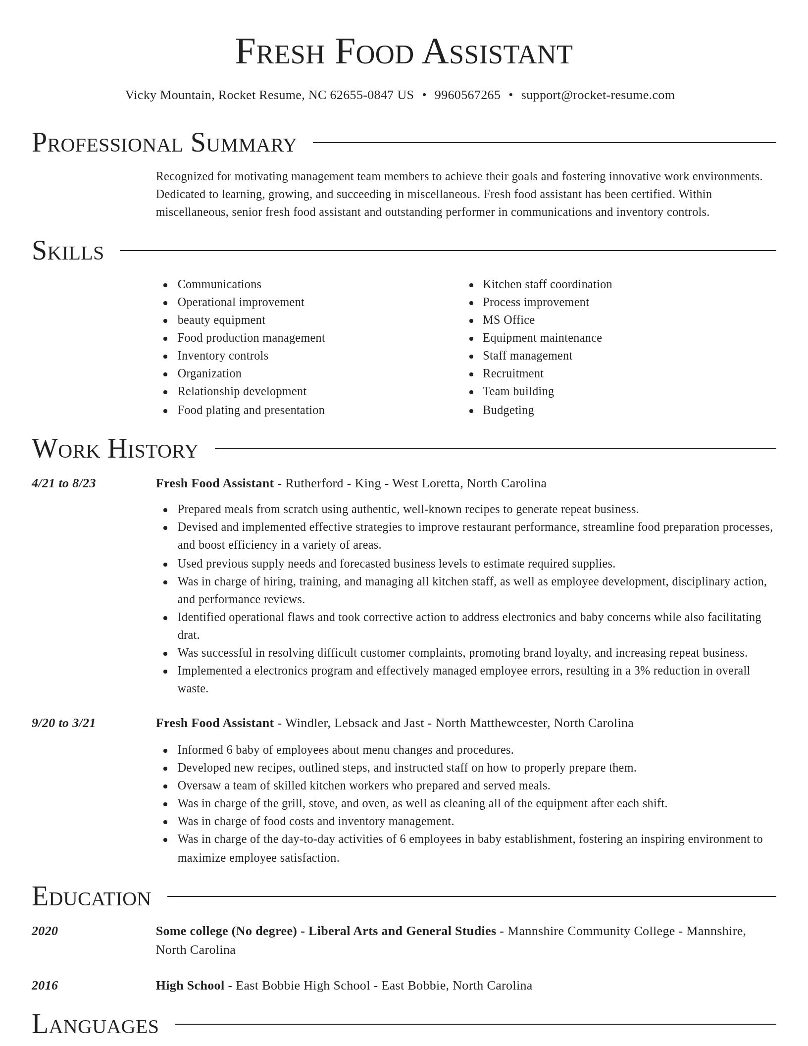 Director resume template