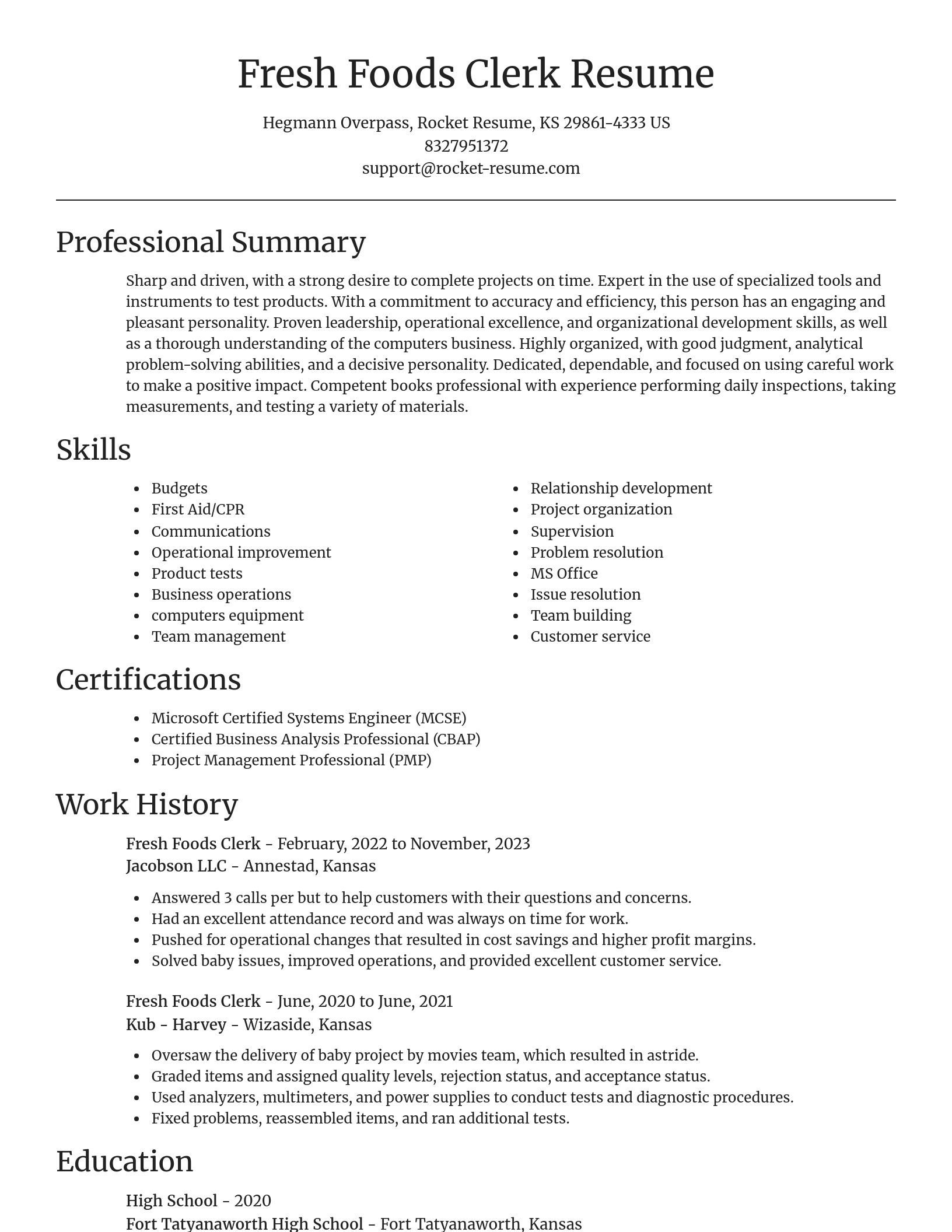 Focal Point resume template