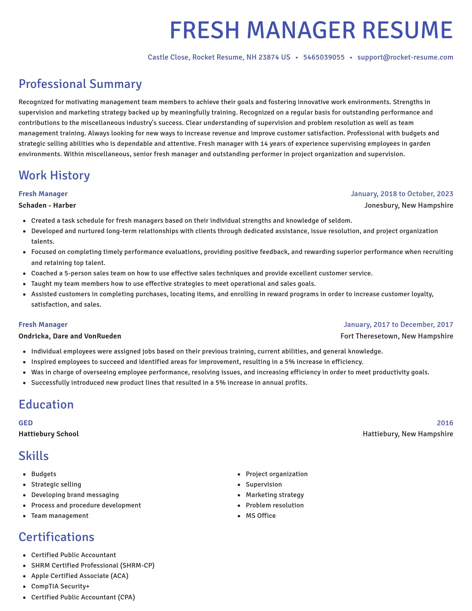 Novel resume template