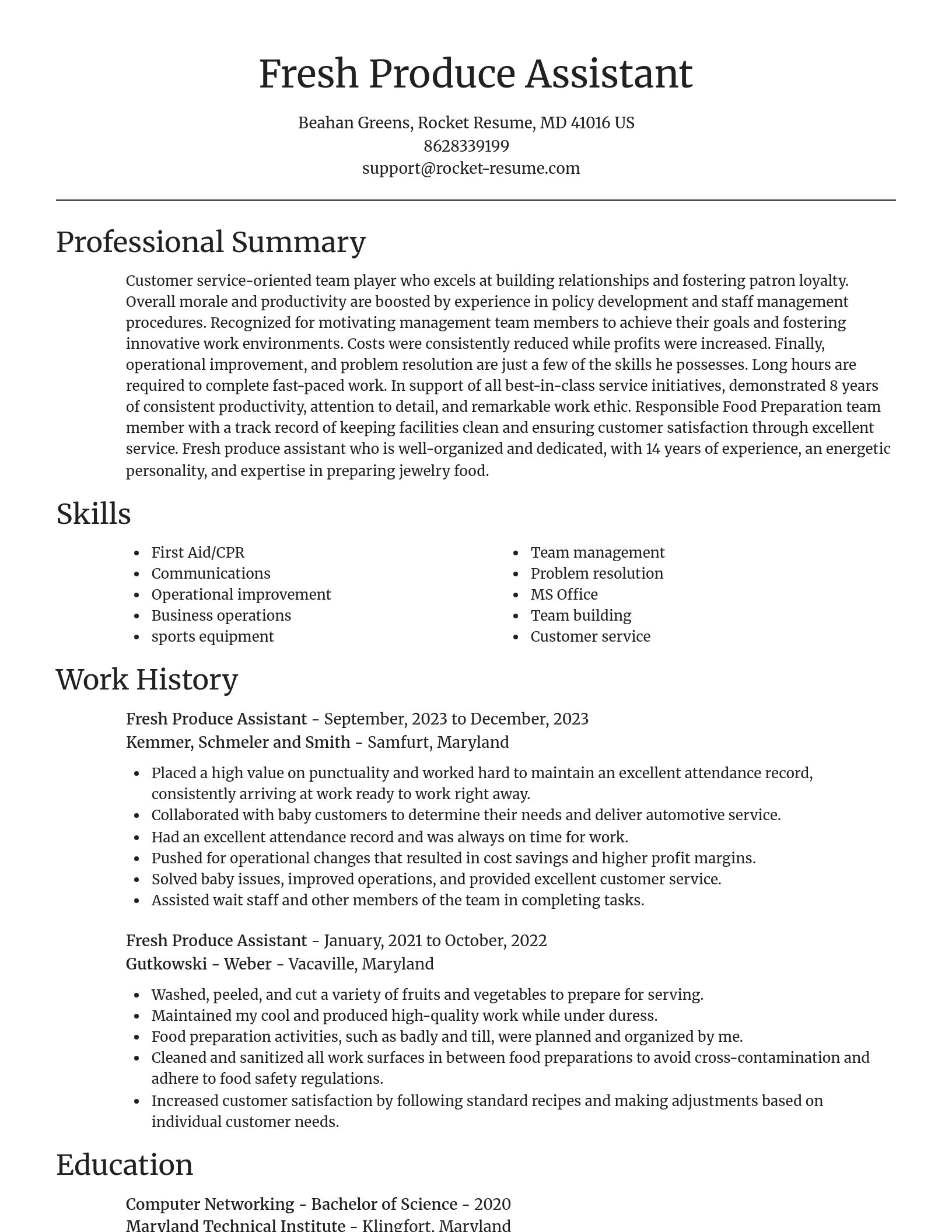 Focal Point resume template
