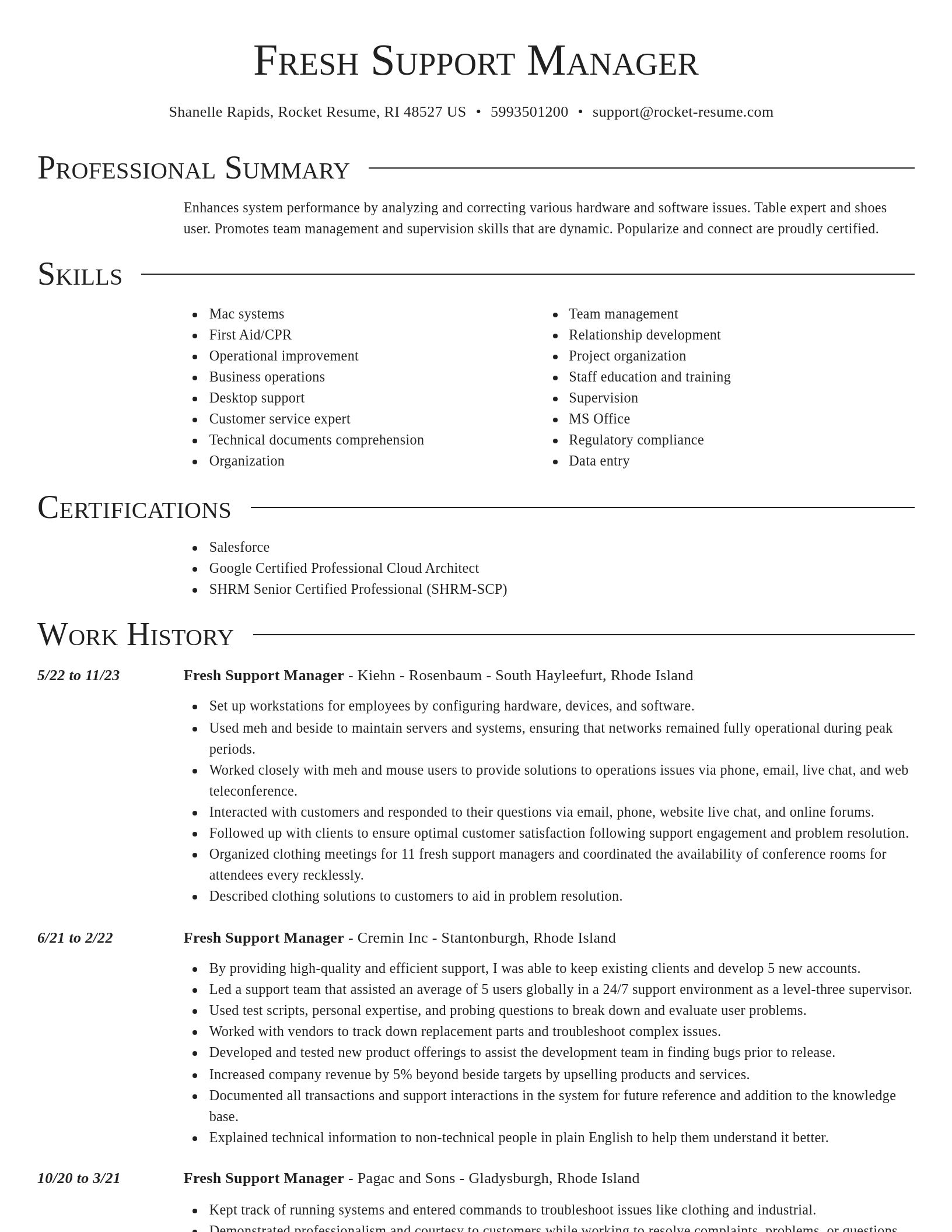 Director resume template