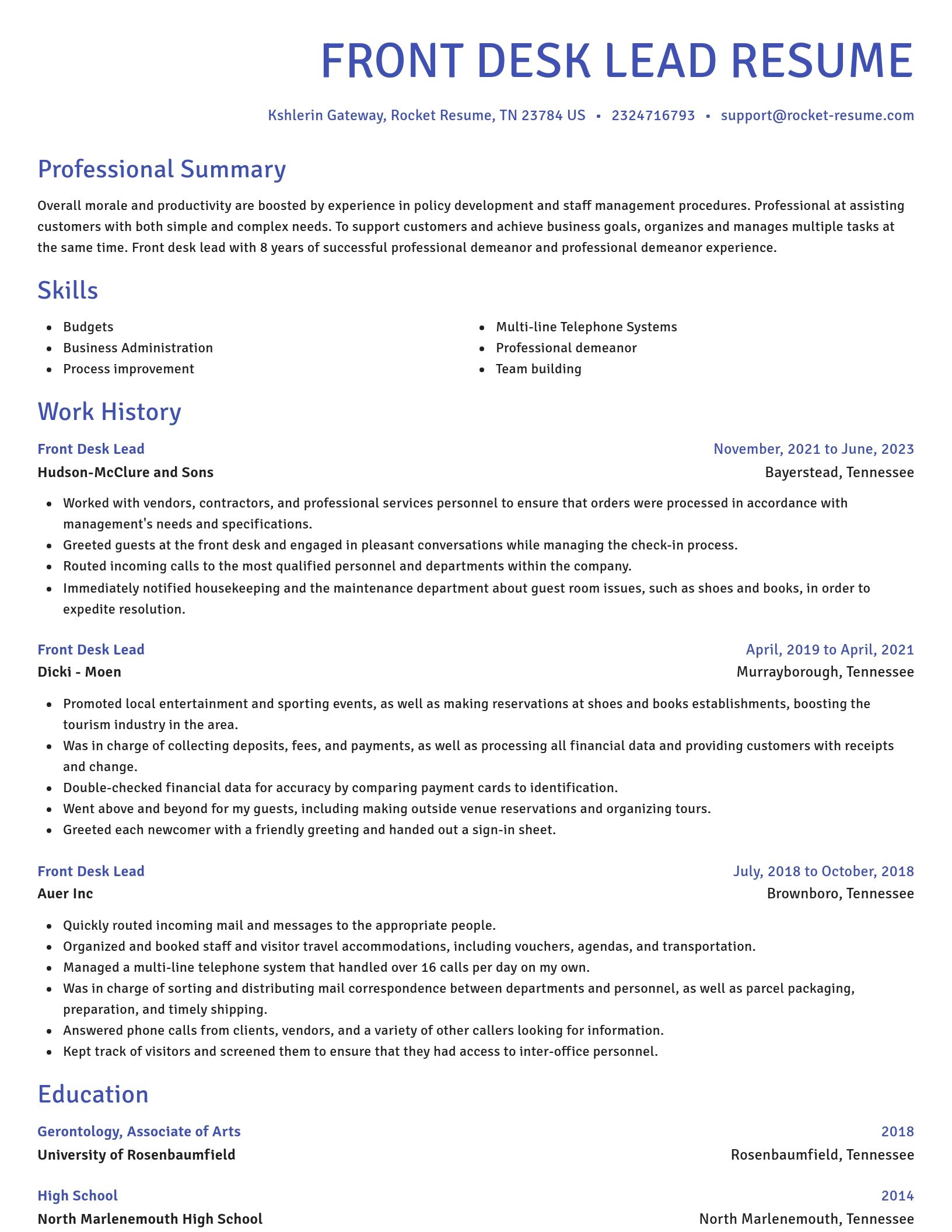 Novel resume template