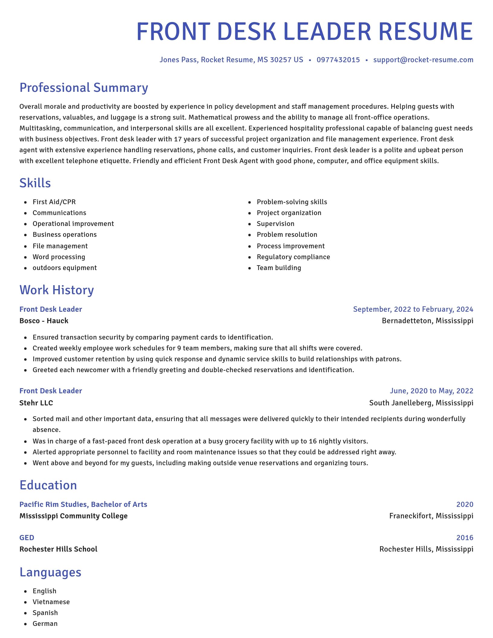 Novel resume template