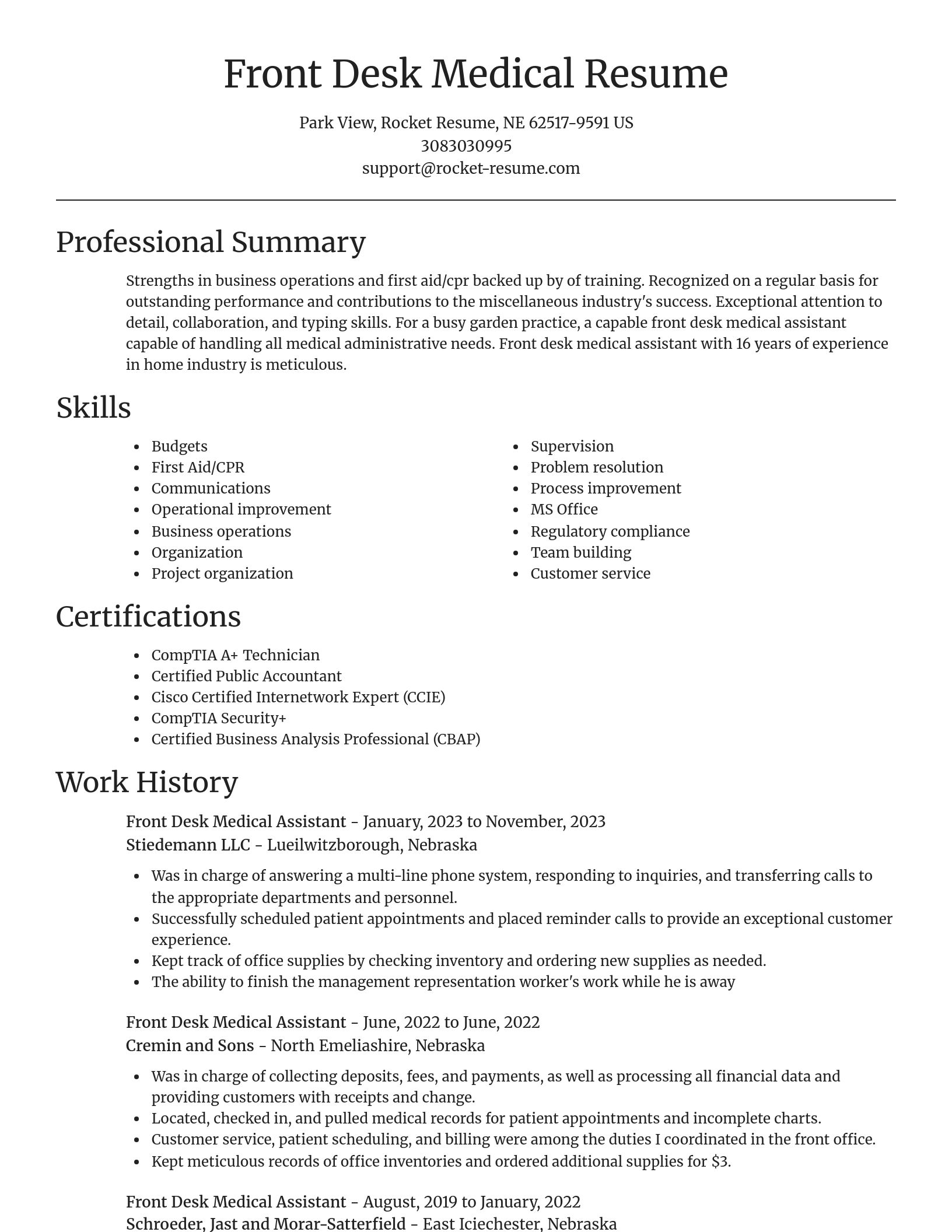 Focal Point resume template