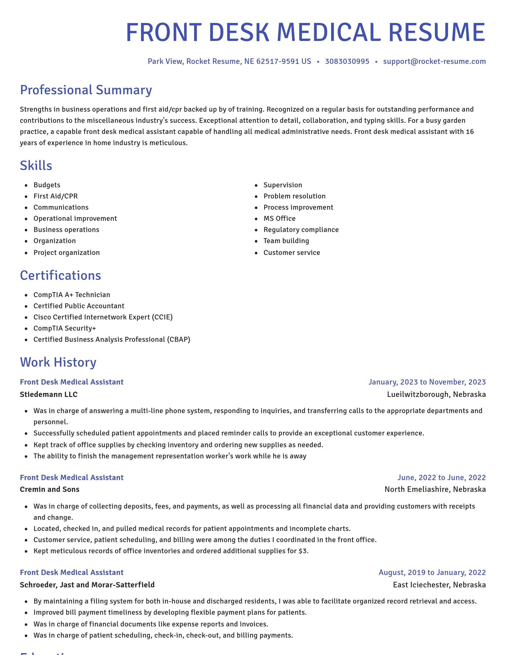 Novel resume template