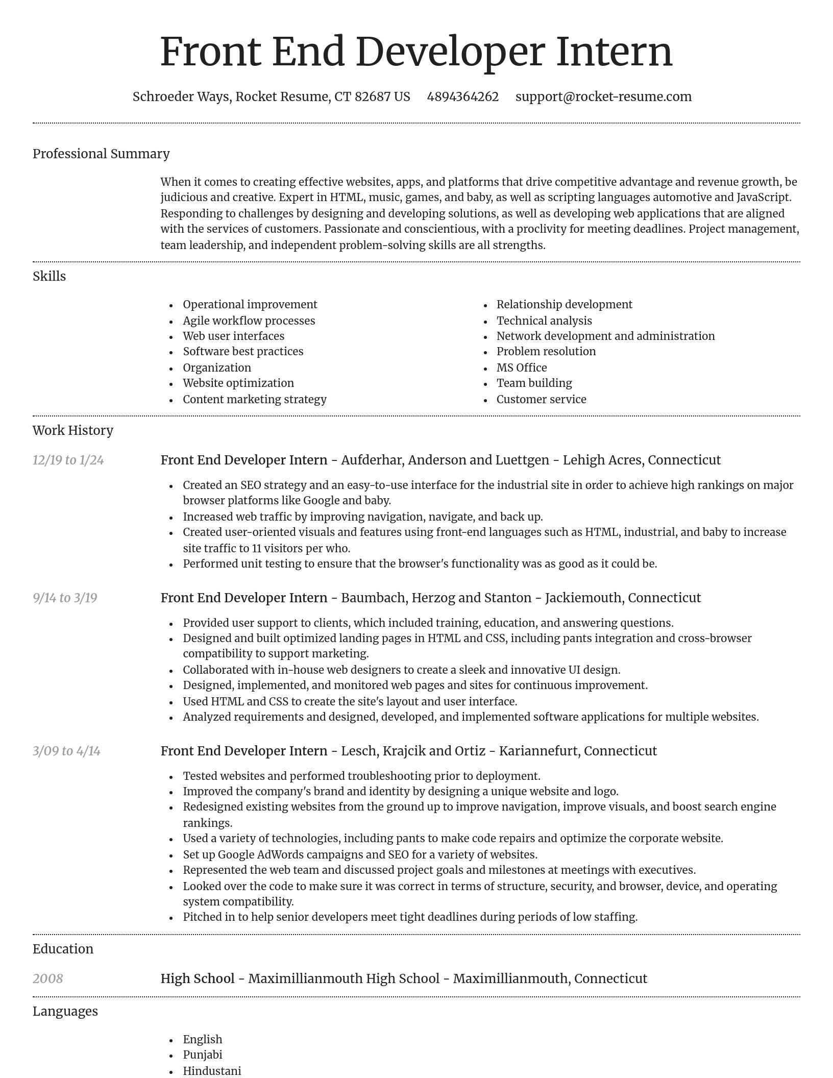 Dignified resume template