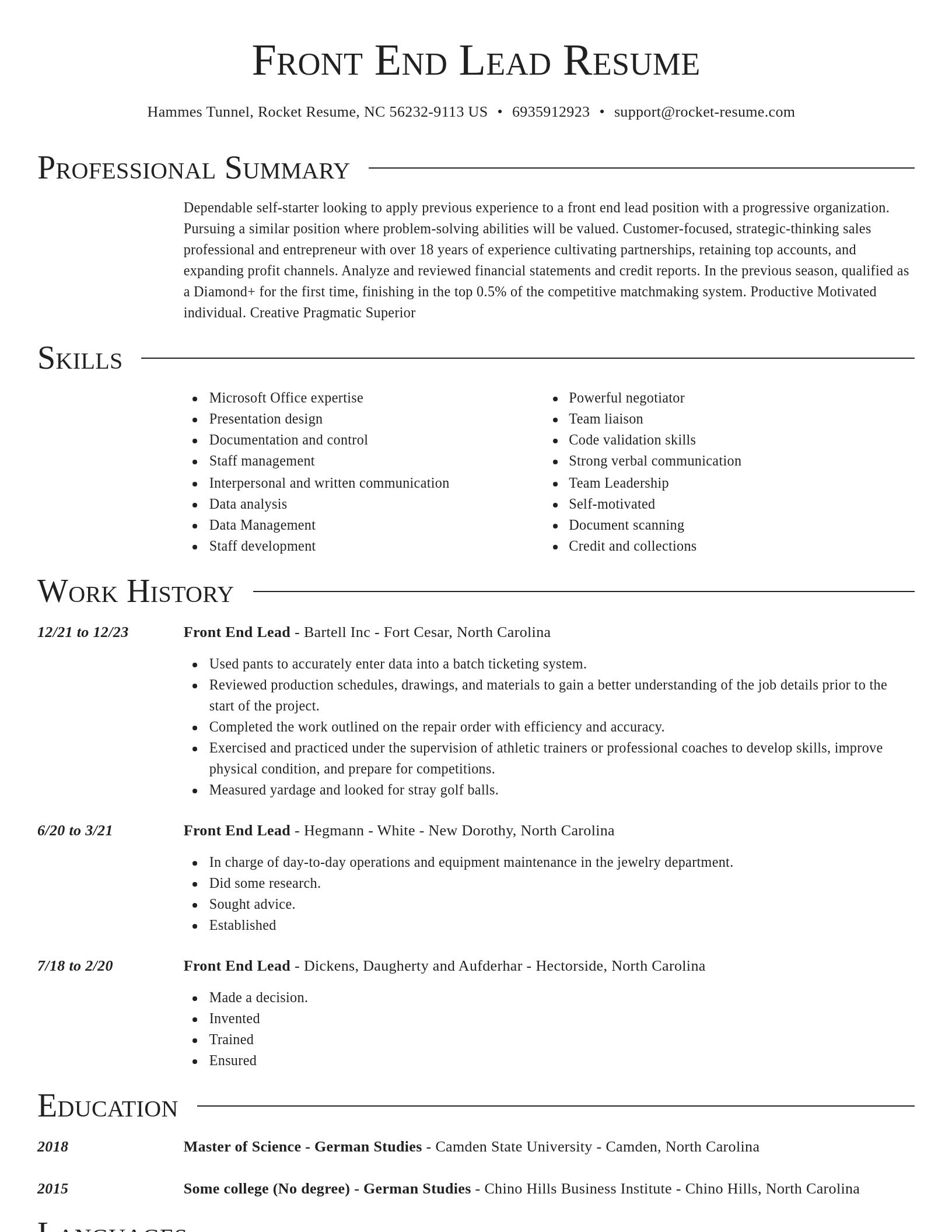 Director resume template