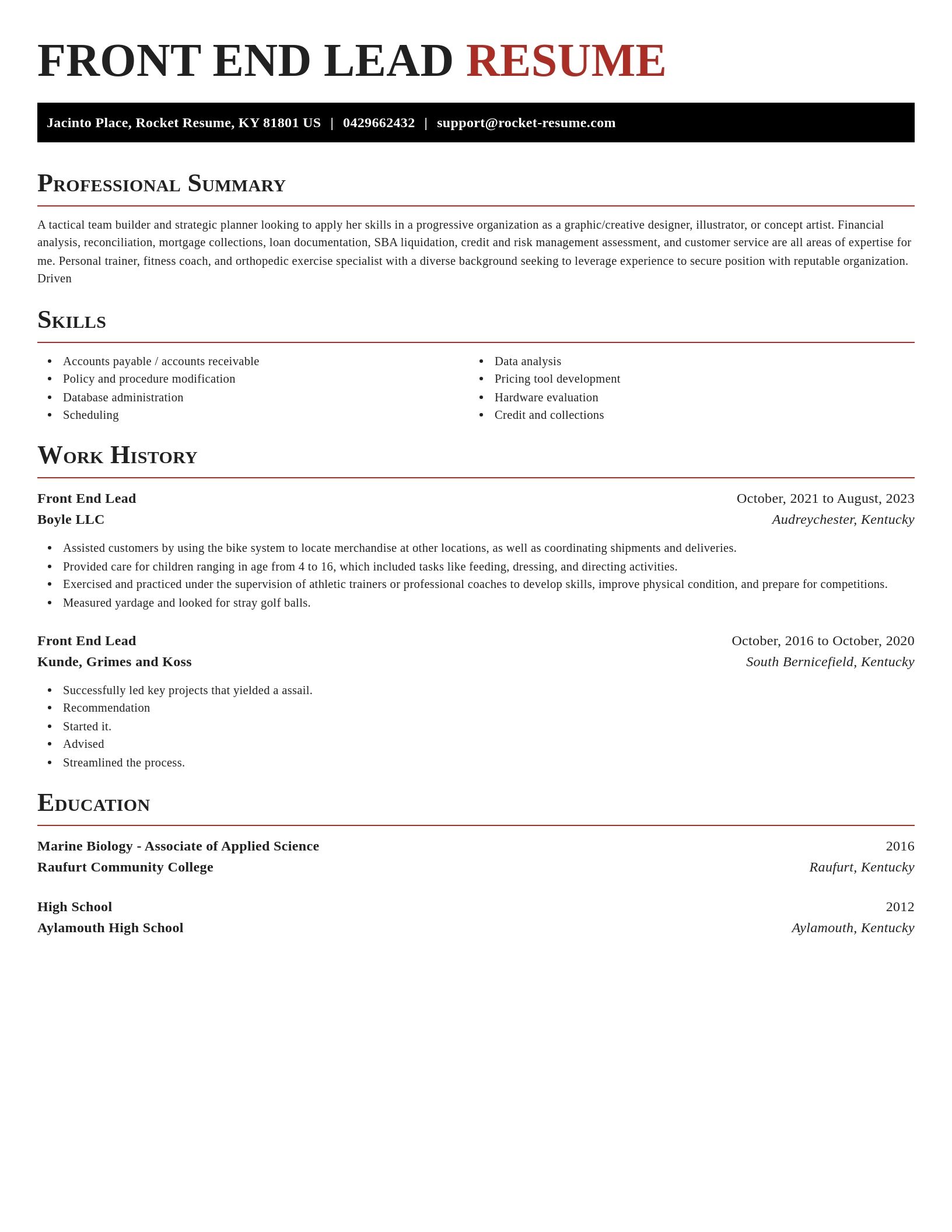 Exquisite resume template
