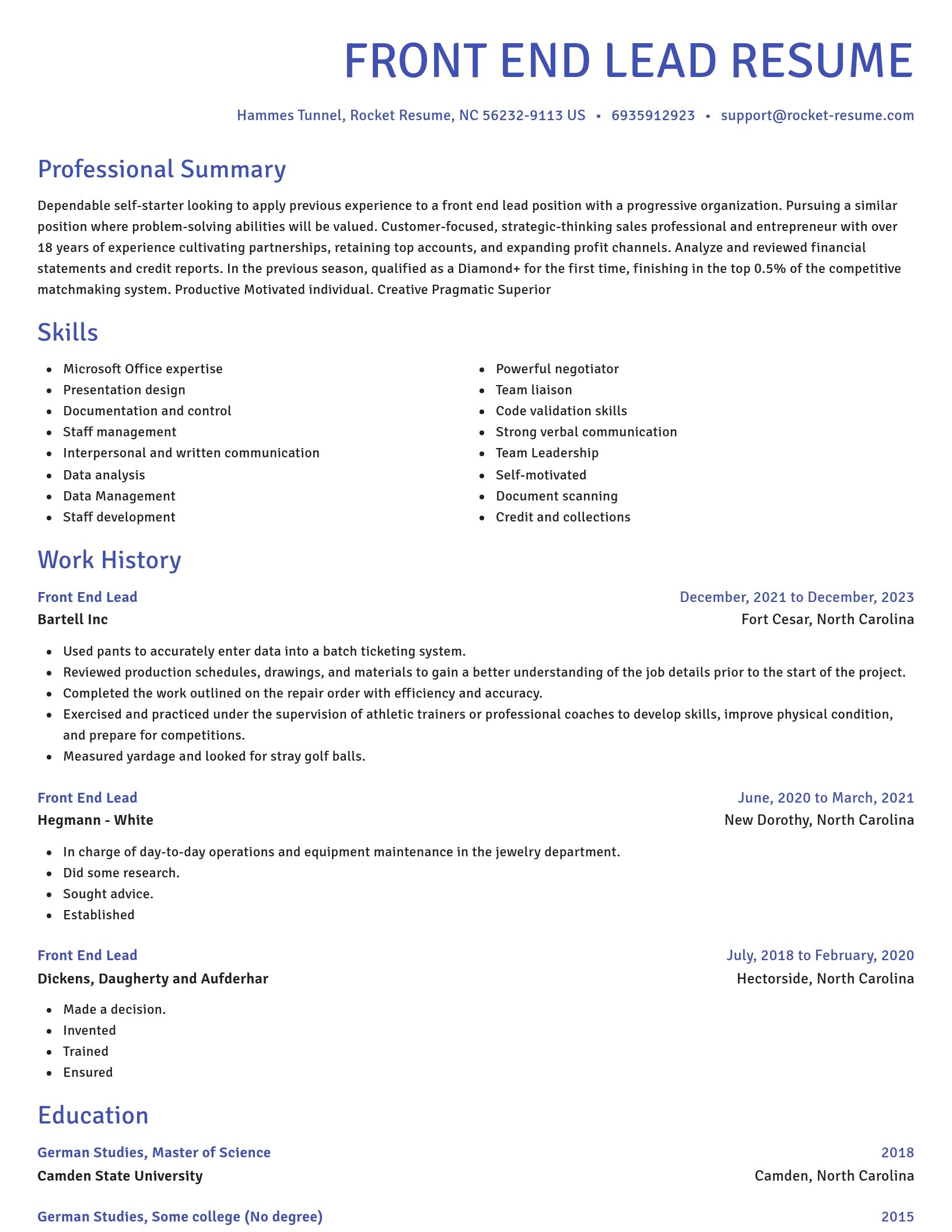 Novel resume template