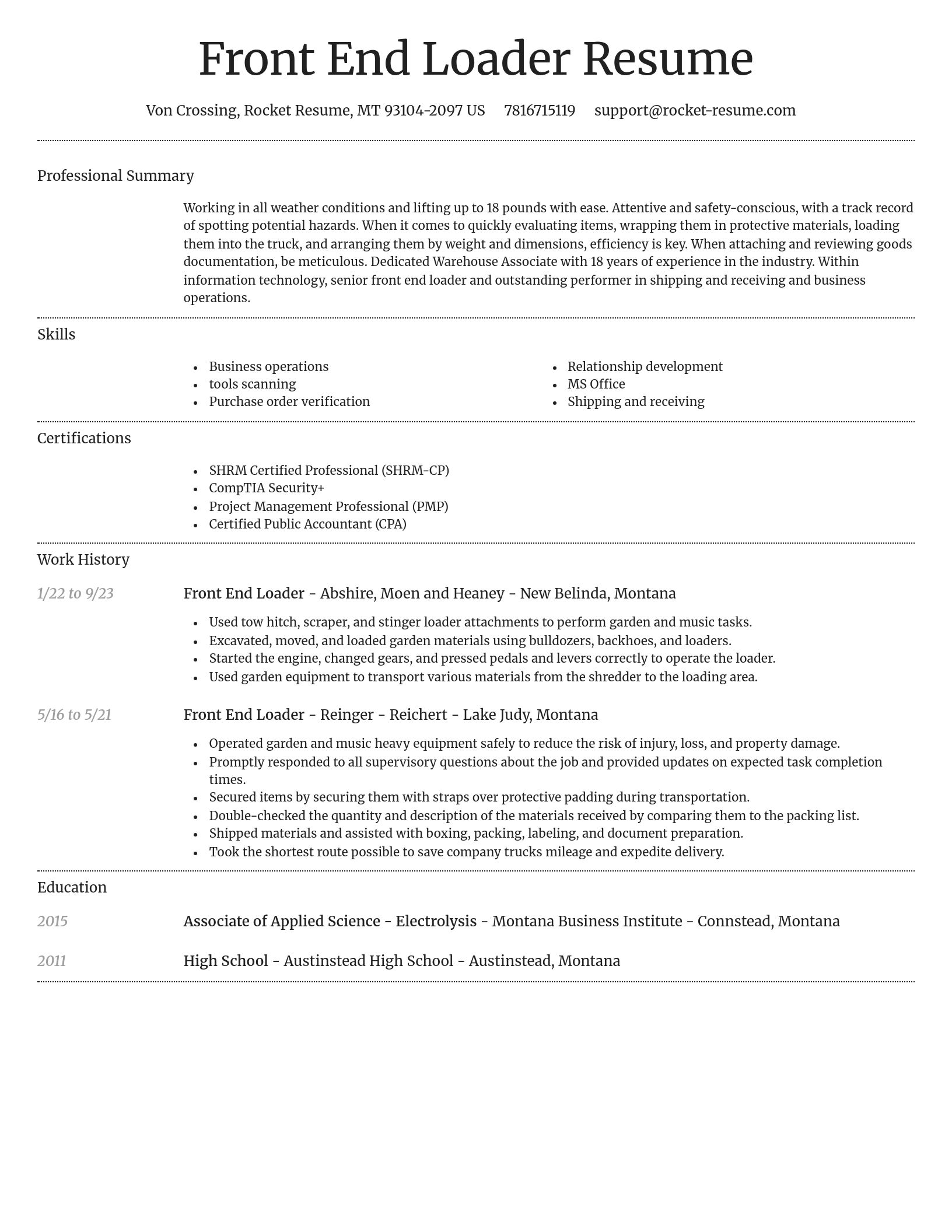 Dignified resume template