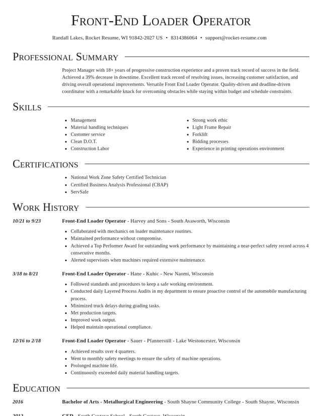 Director resume template