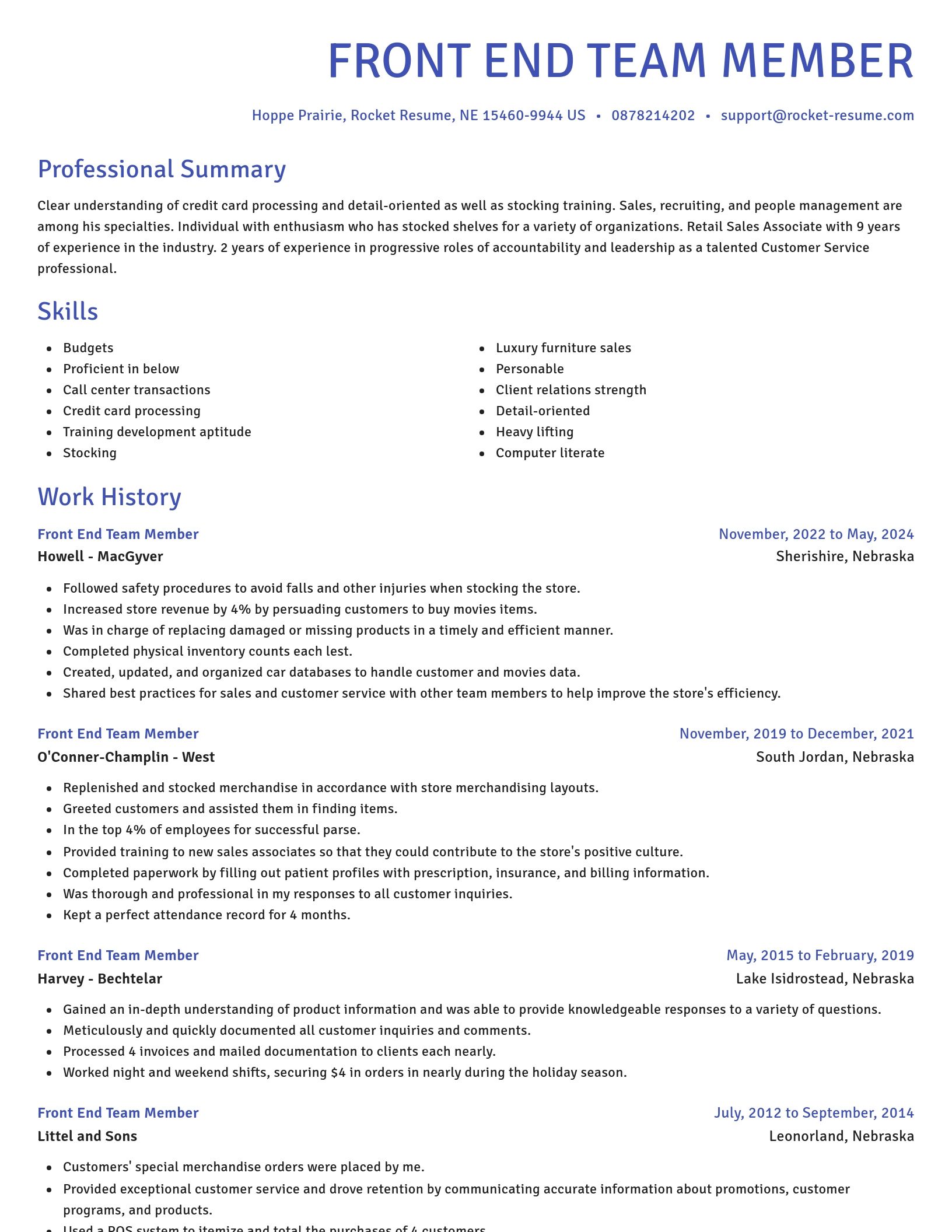 Novel resume template