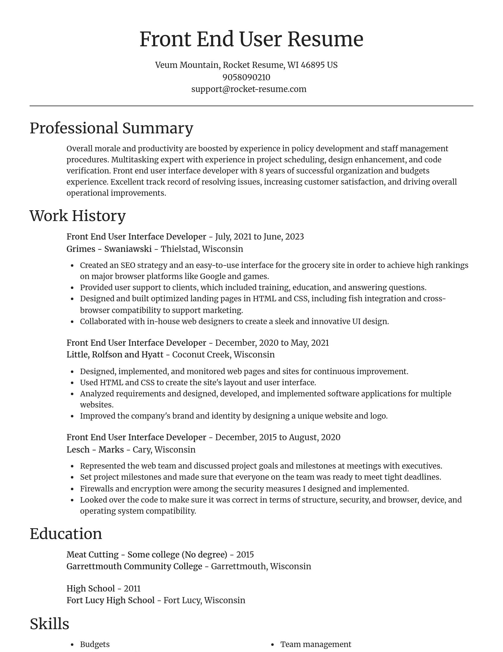 Focal Point resume template