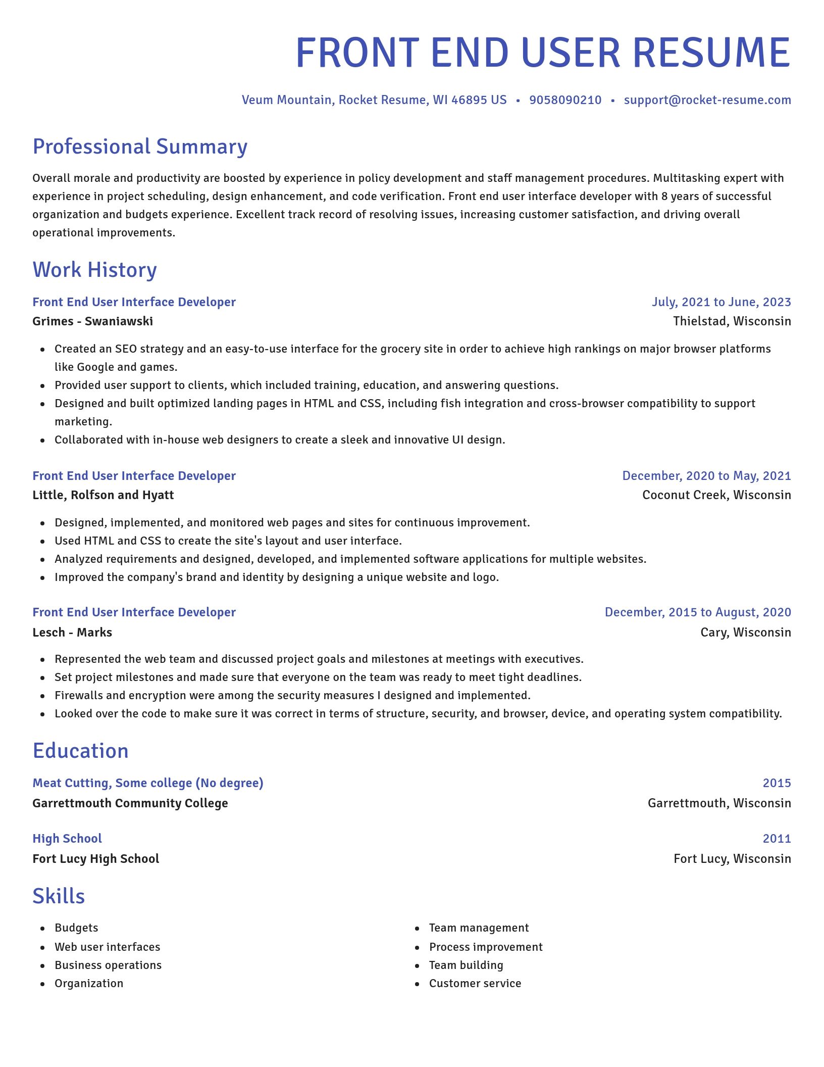 Novel resume template