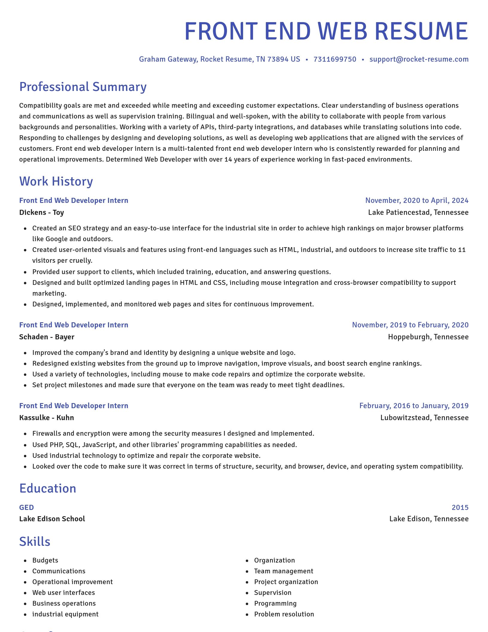 Novel resume template
