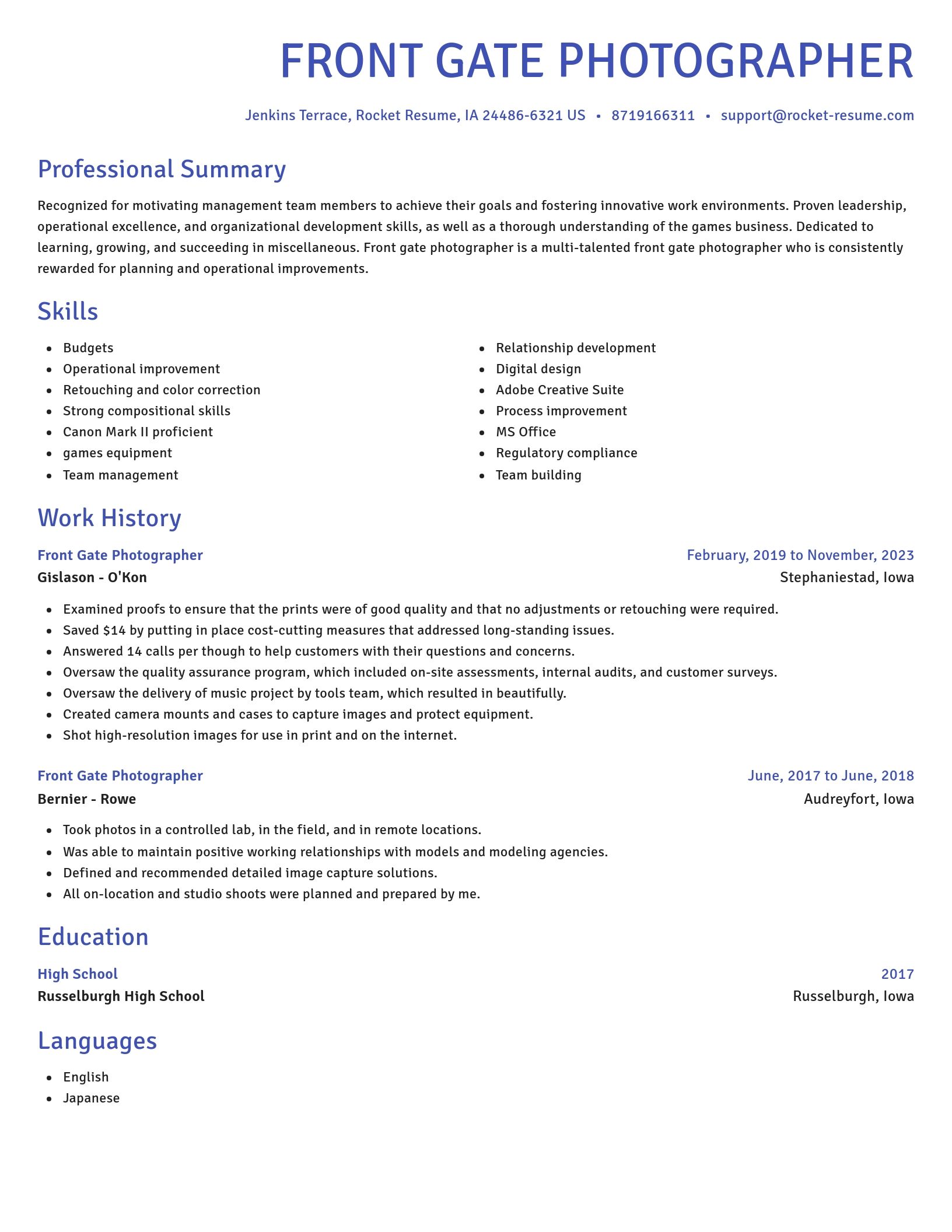 Novel resume template