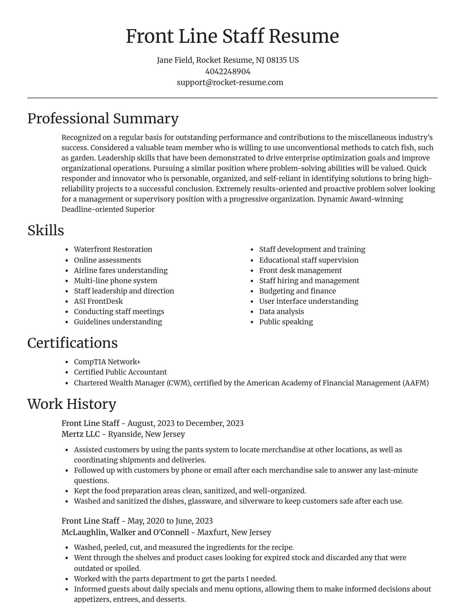 Focal Point resume template