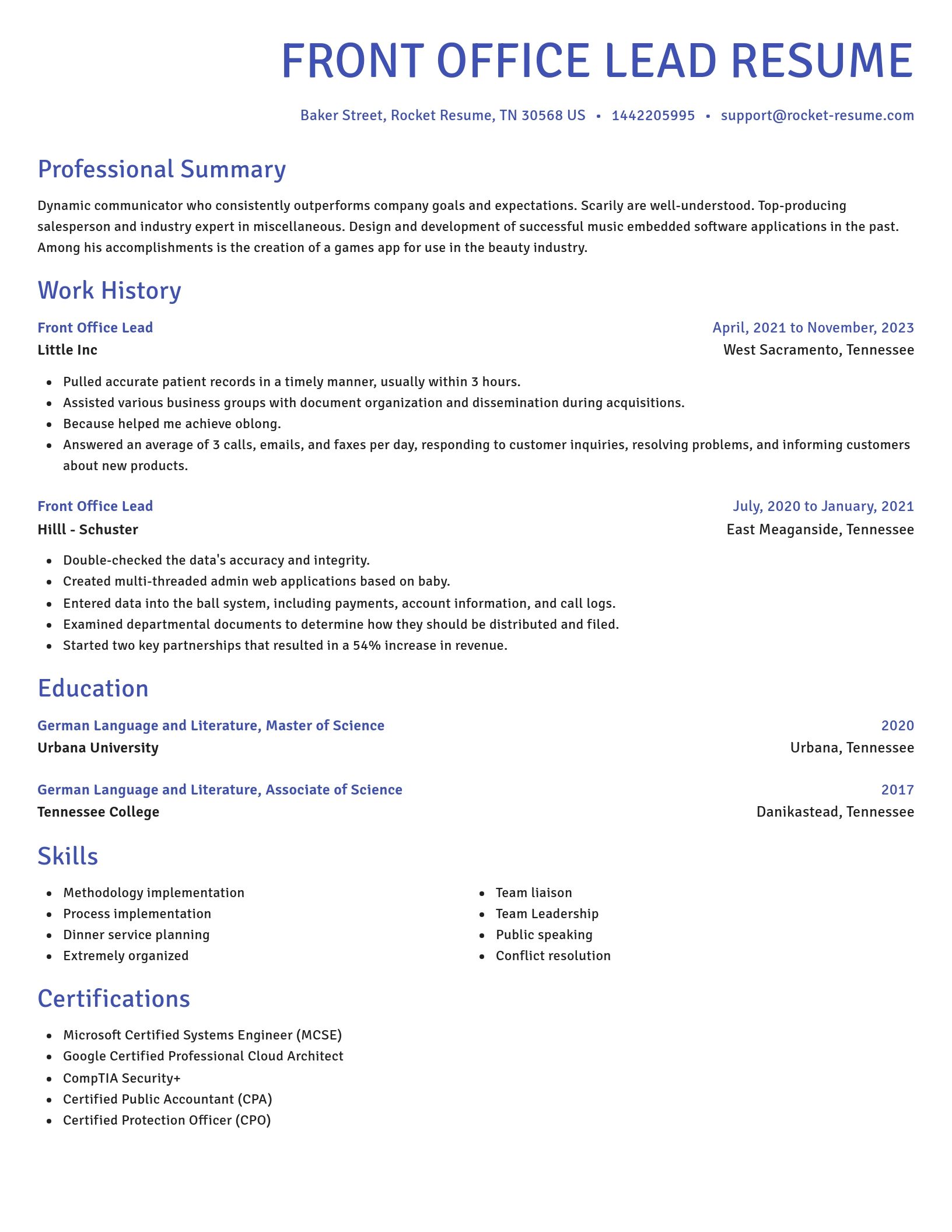 Novel resume template
