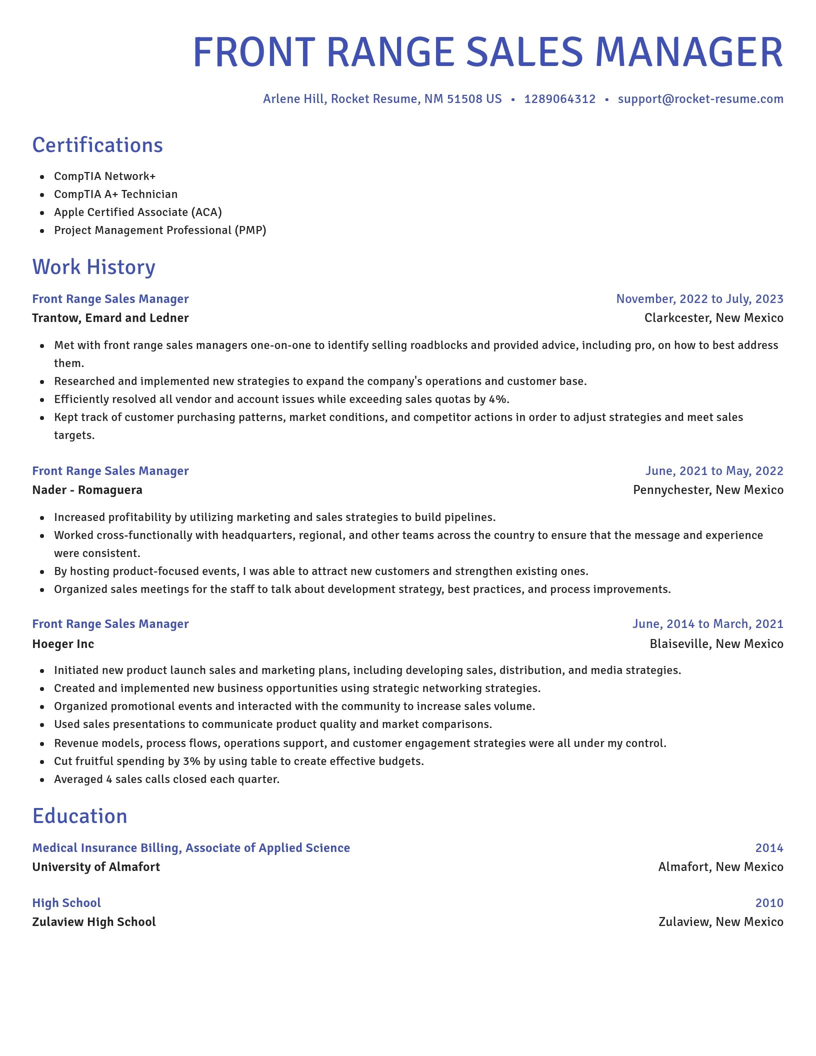 Novel resume template