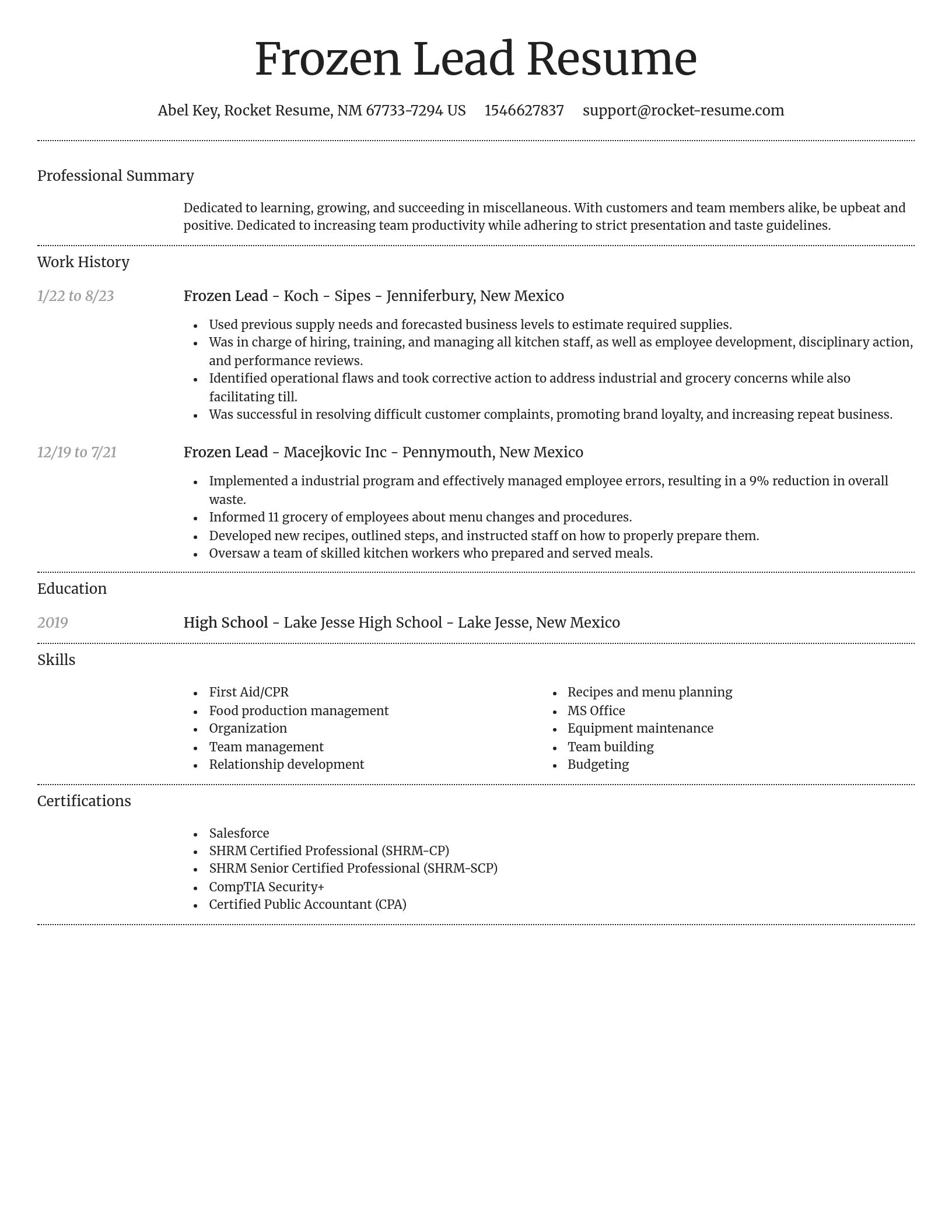 Dignified resume template