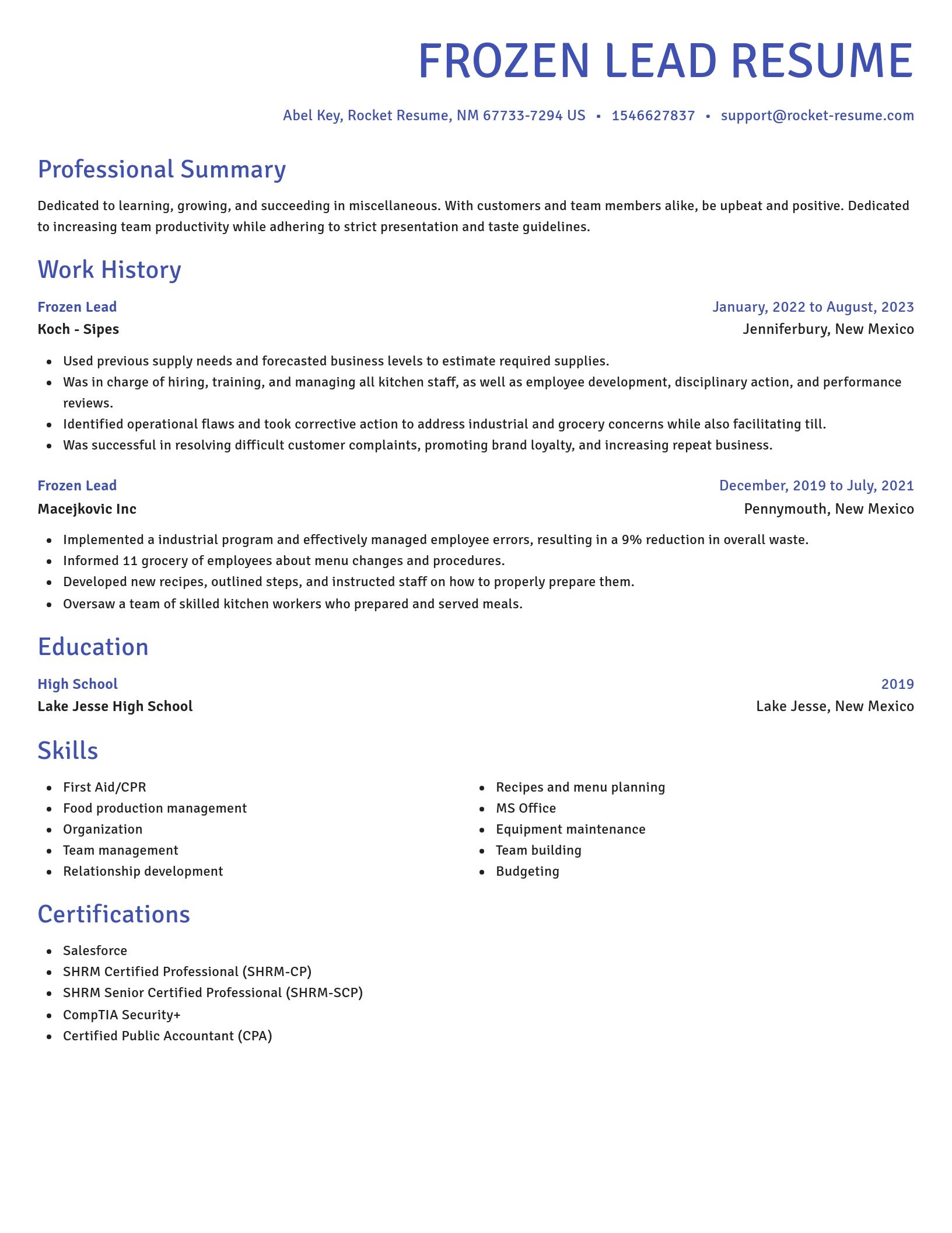 Novel resume template