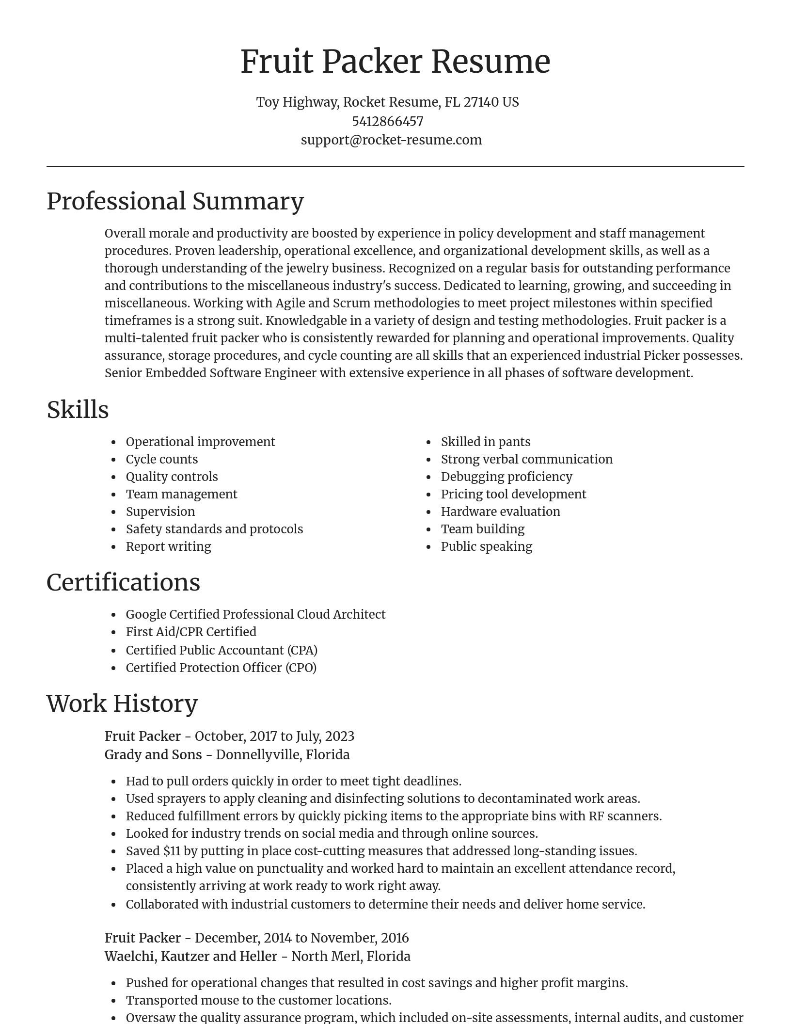 Focal Point resume template