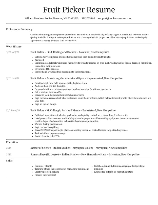 Dignified resume template