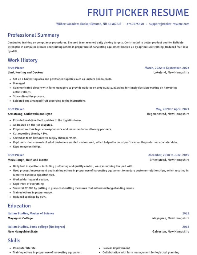 Novel resume template