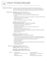 Fruit Picker resume template