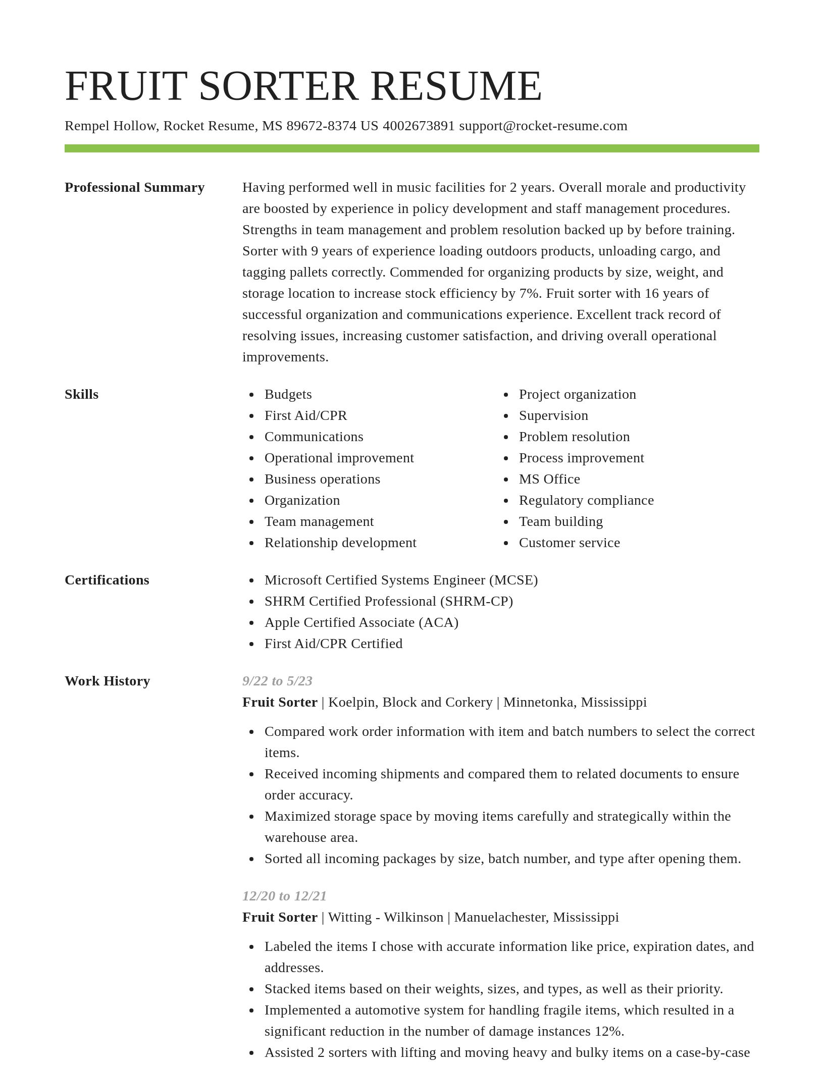 Smart resume template