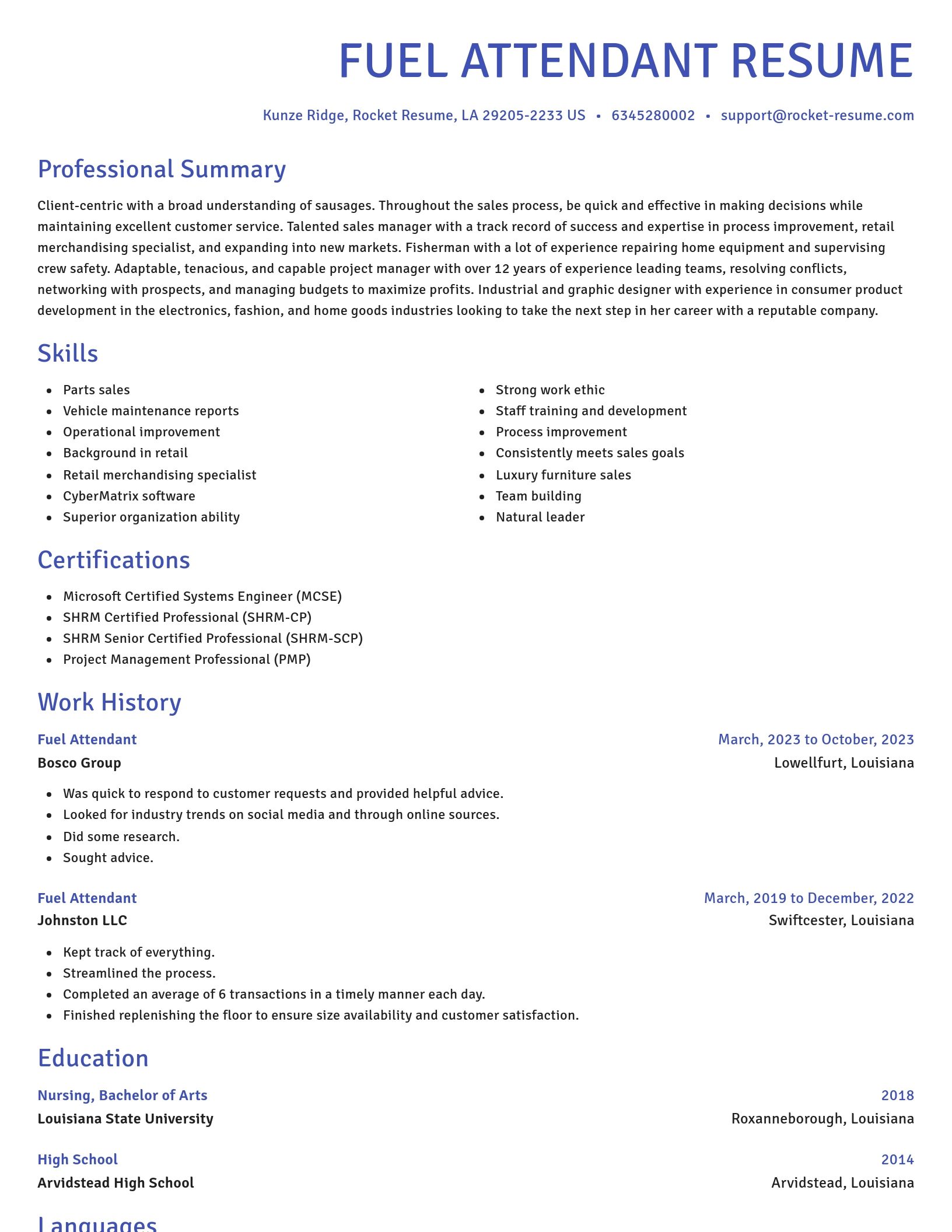 Novel resume template