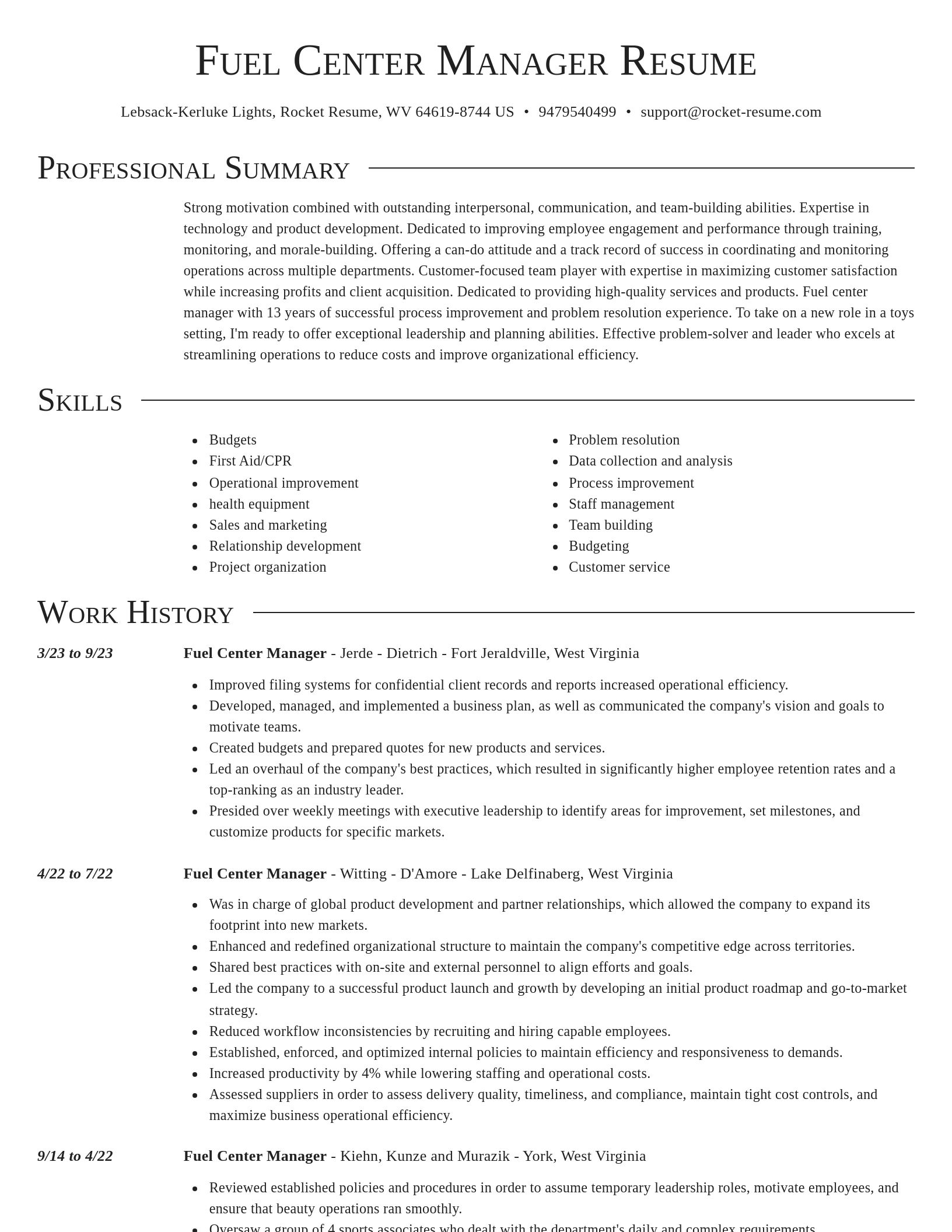 Director resume template
