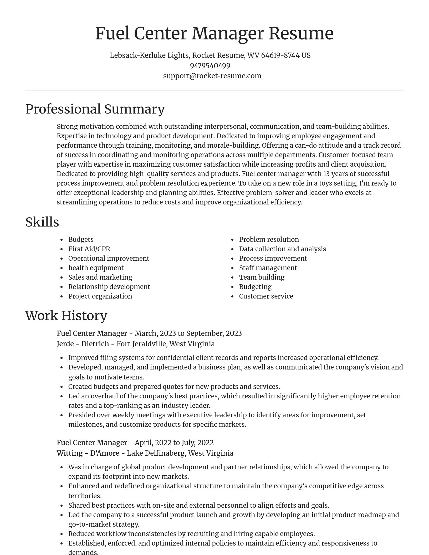 Focal Point resume template