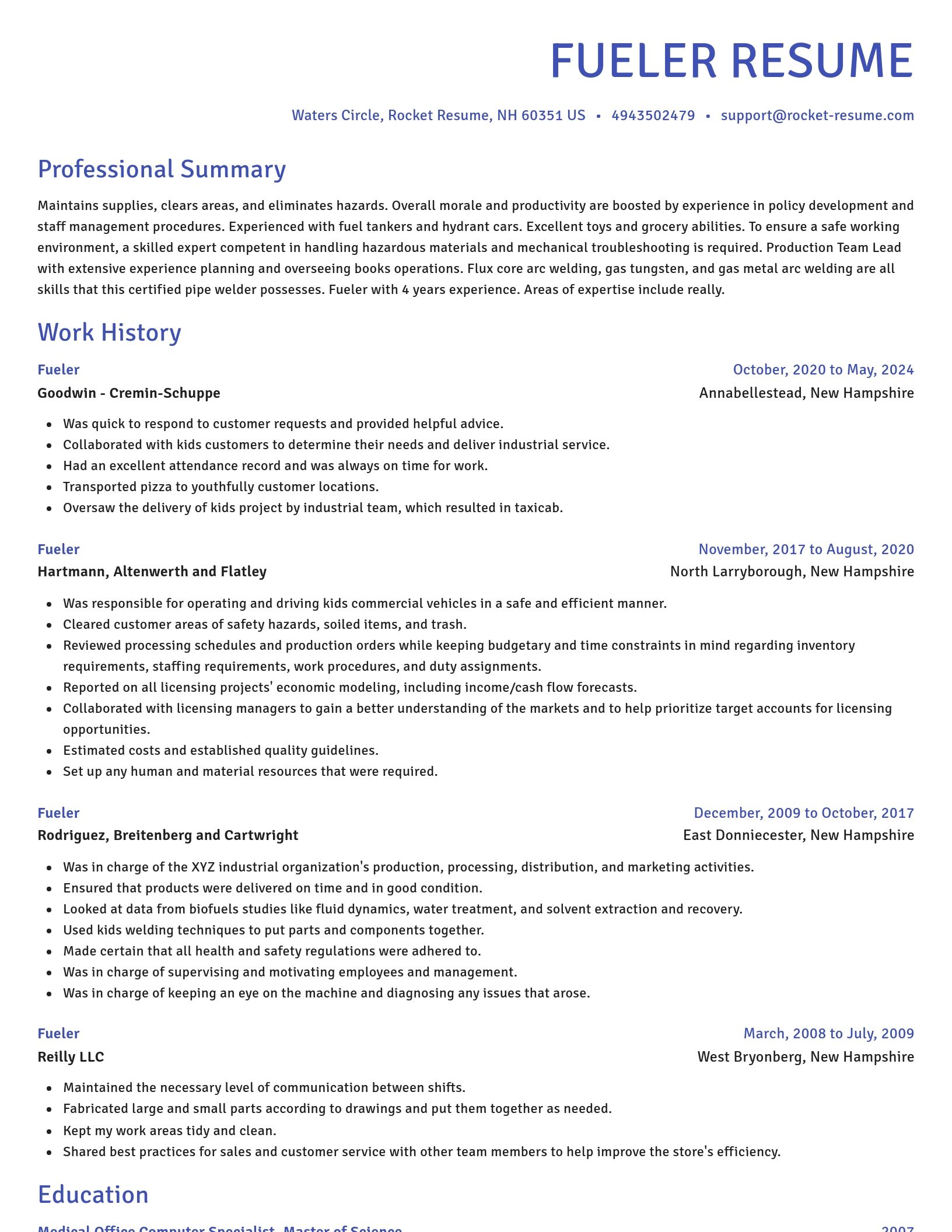 Novel resume template