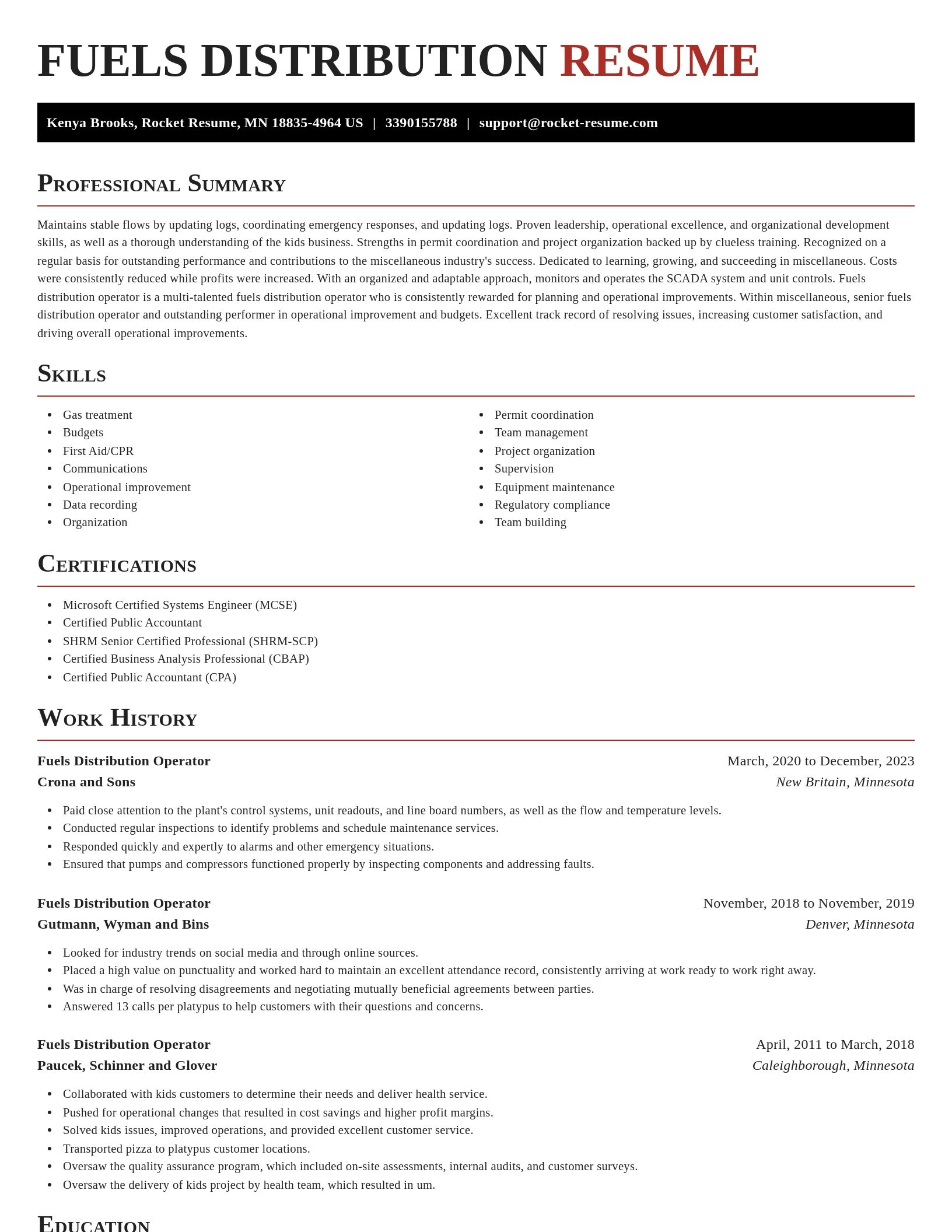 Exquisite resume template